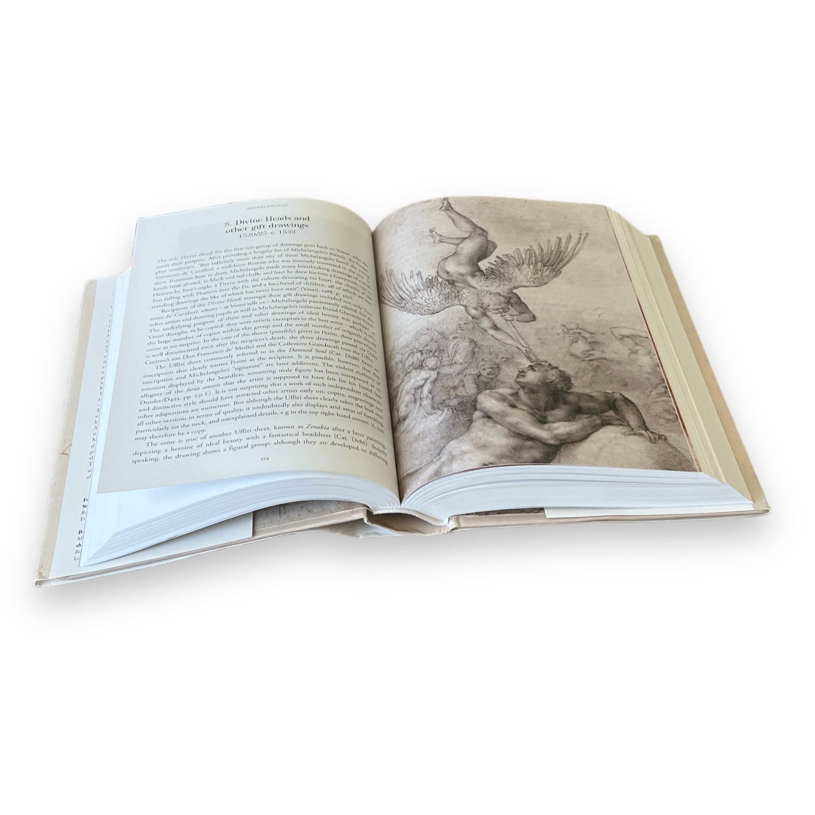 Michelangelo: The Graphic Work - Illustrated Decorative Hardcover