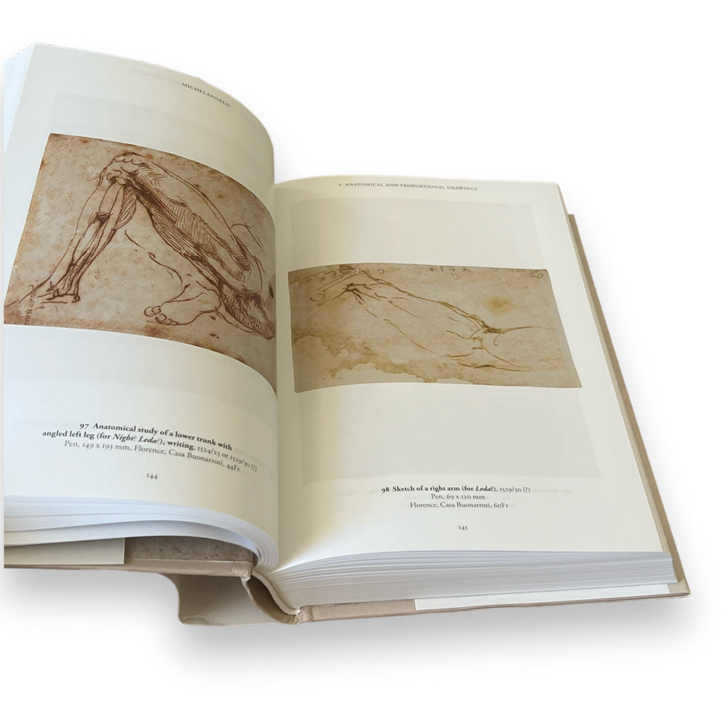 Michelangelo: The Graphic Work - Illustrated Decorative Hardcover