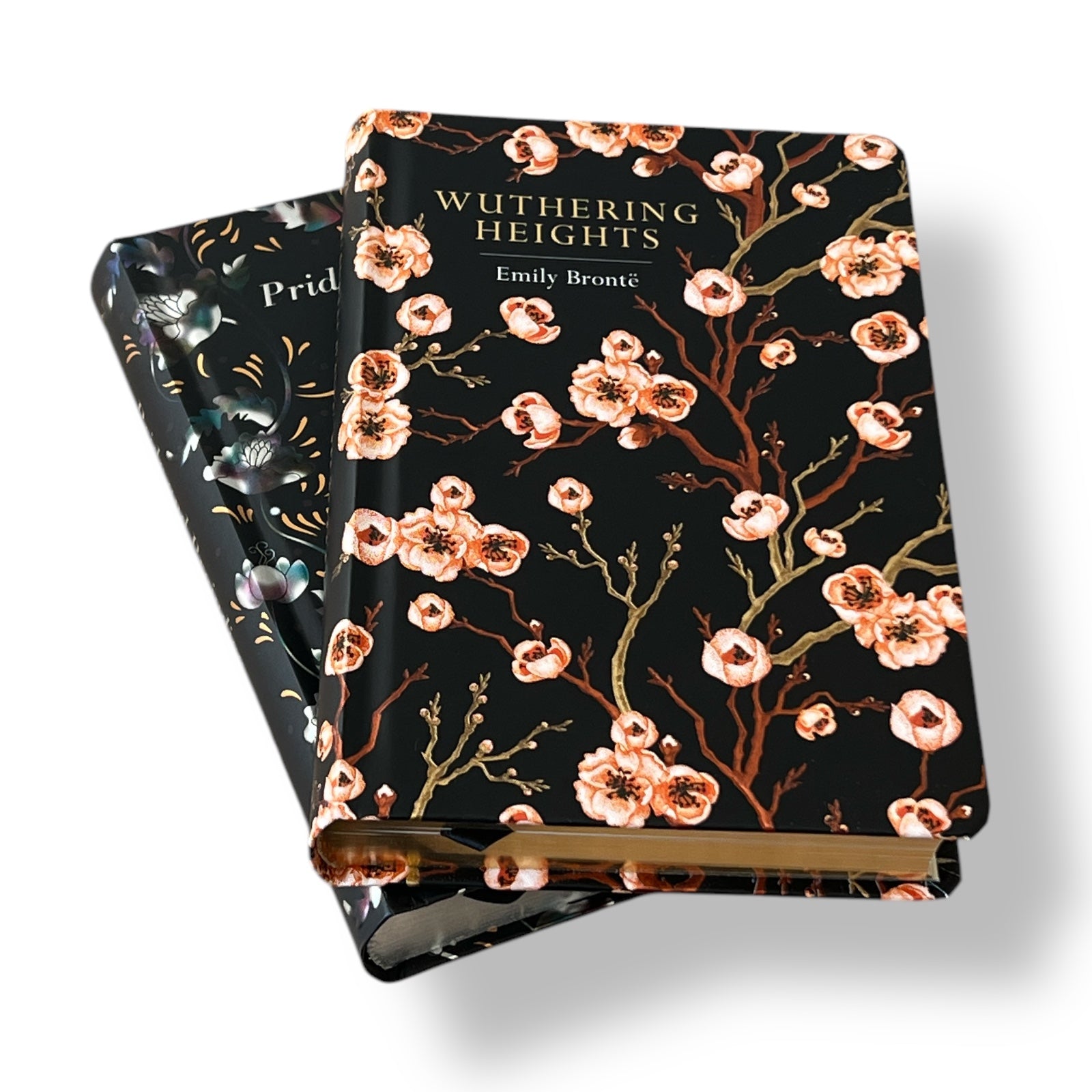 2-Book Set: Pride and Prejudice by Jane Austen & Wuthering Heights by Emily Bronte - Collectible Deluxe Colorful Gilded Hardcover Edition