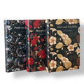 3-Book Set: Pride and Prejudice, Sense and Sensibility, Mansfield Park by Jane Austen - Colorful Gilded Hardcover