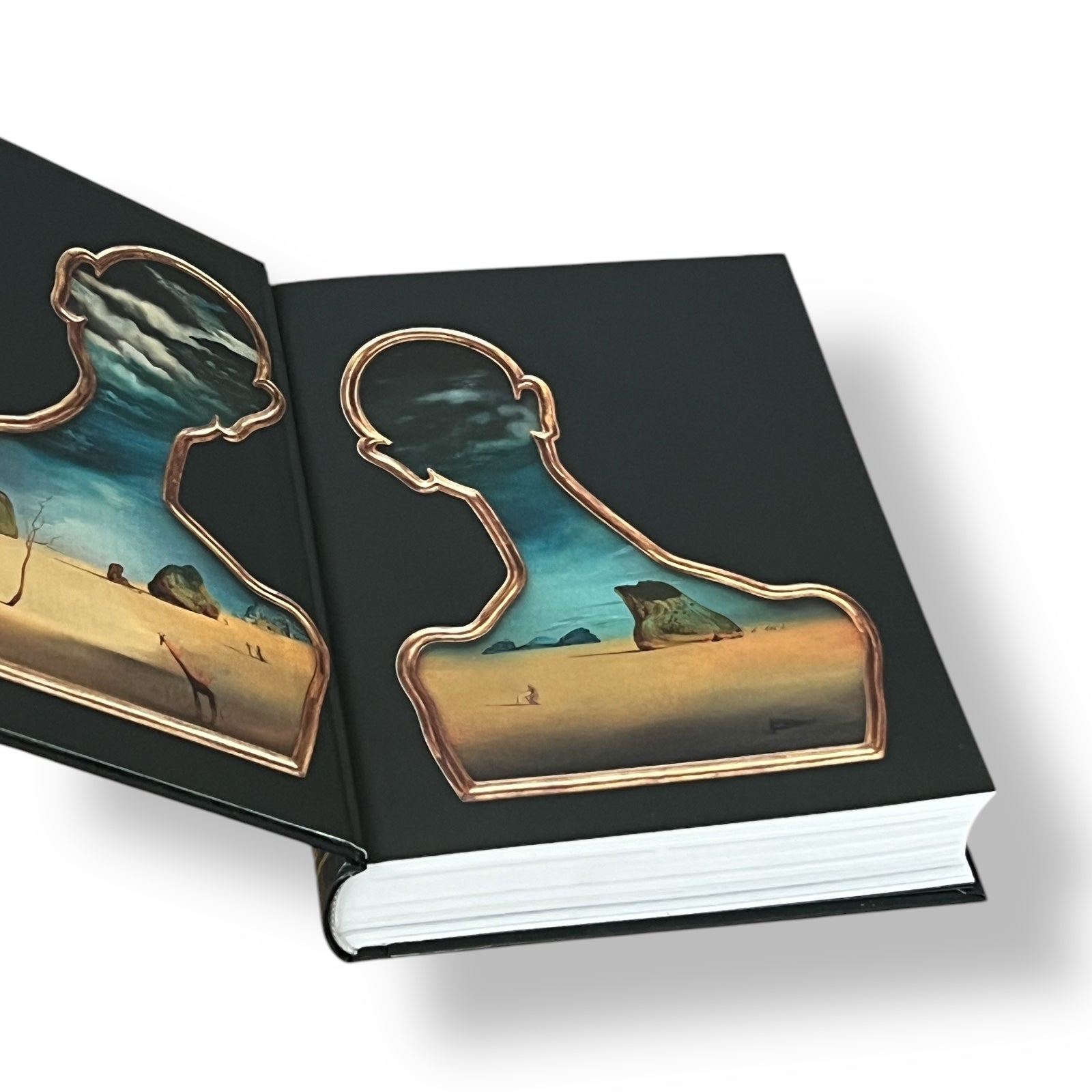 Dalí The Paintings by Salvador Dali - Illustrated Hardcover