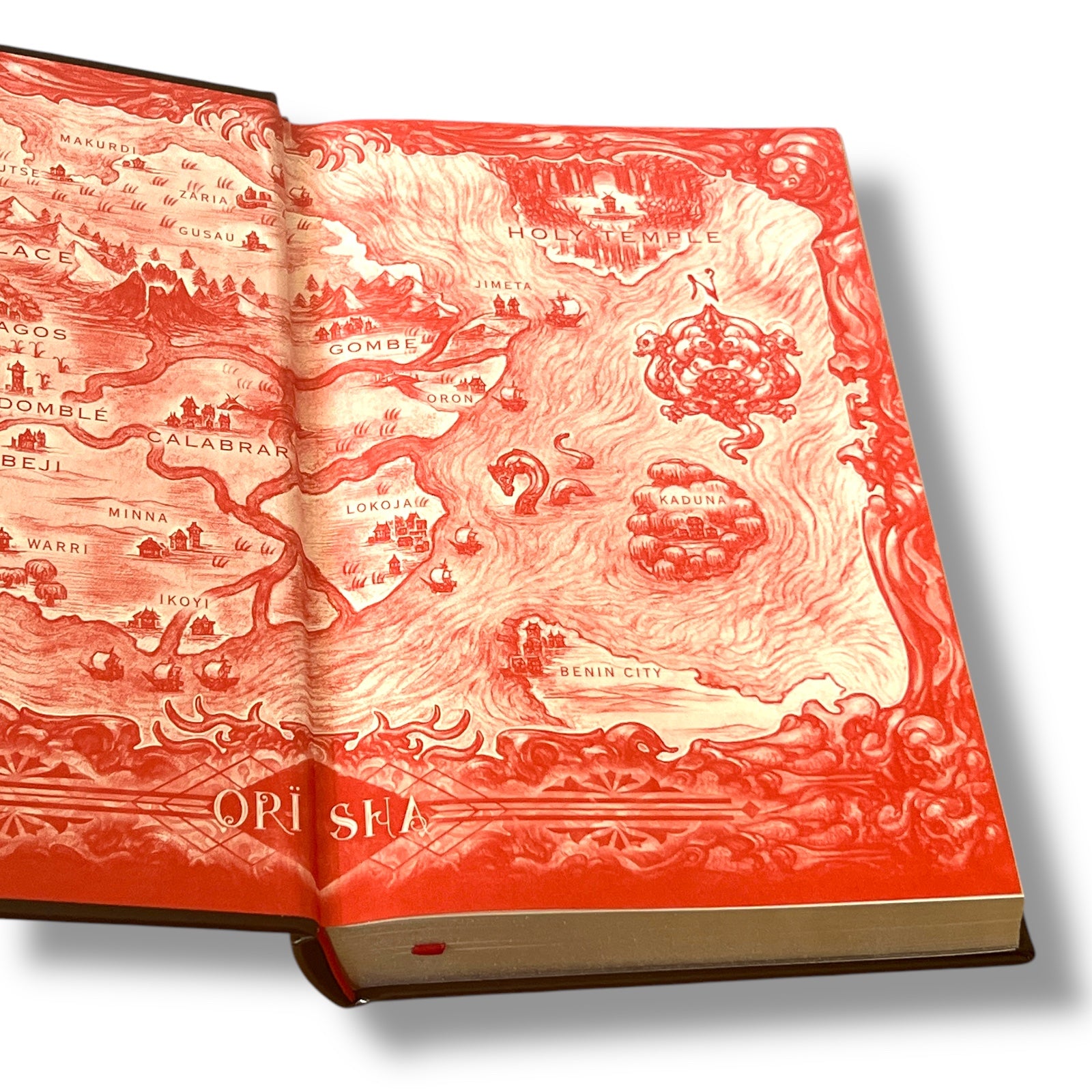 Children of Blood and Bone by Tomi Adeyemi - Collectible Leather Bound Hardcover