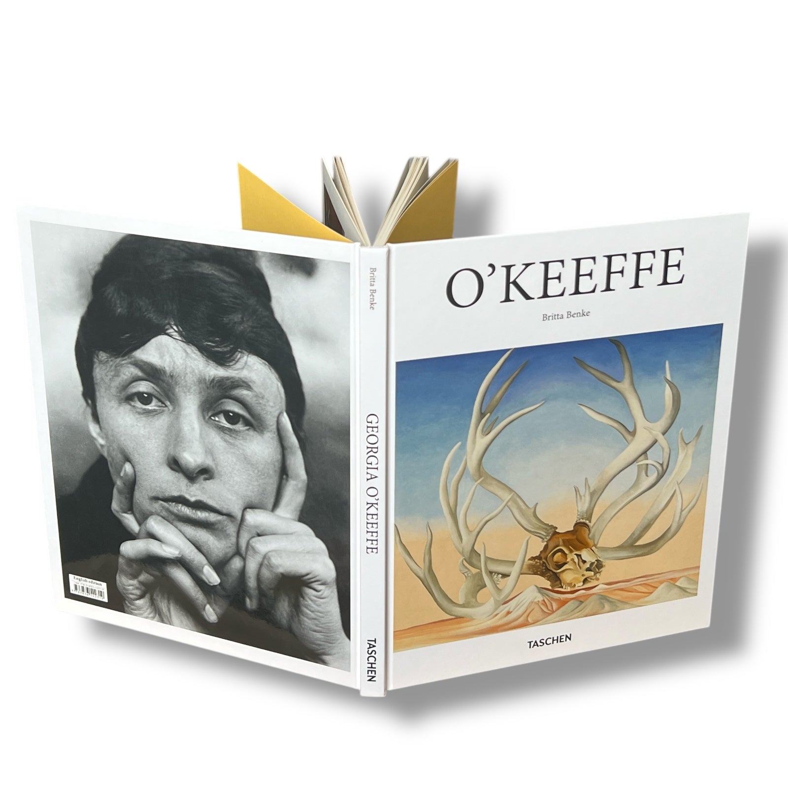 Georgia O'Keeffe by Benke Britta - Illustrated Hardcover (10"x8")