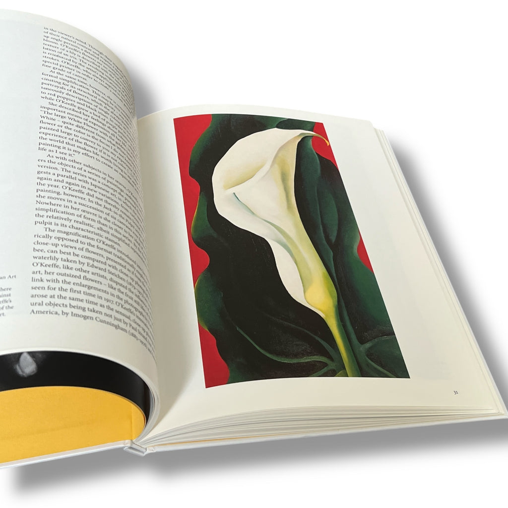 Georgia O'Keeffe by Benke Britta - Illustrated Hardcover (10"x8")