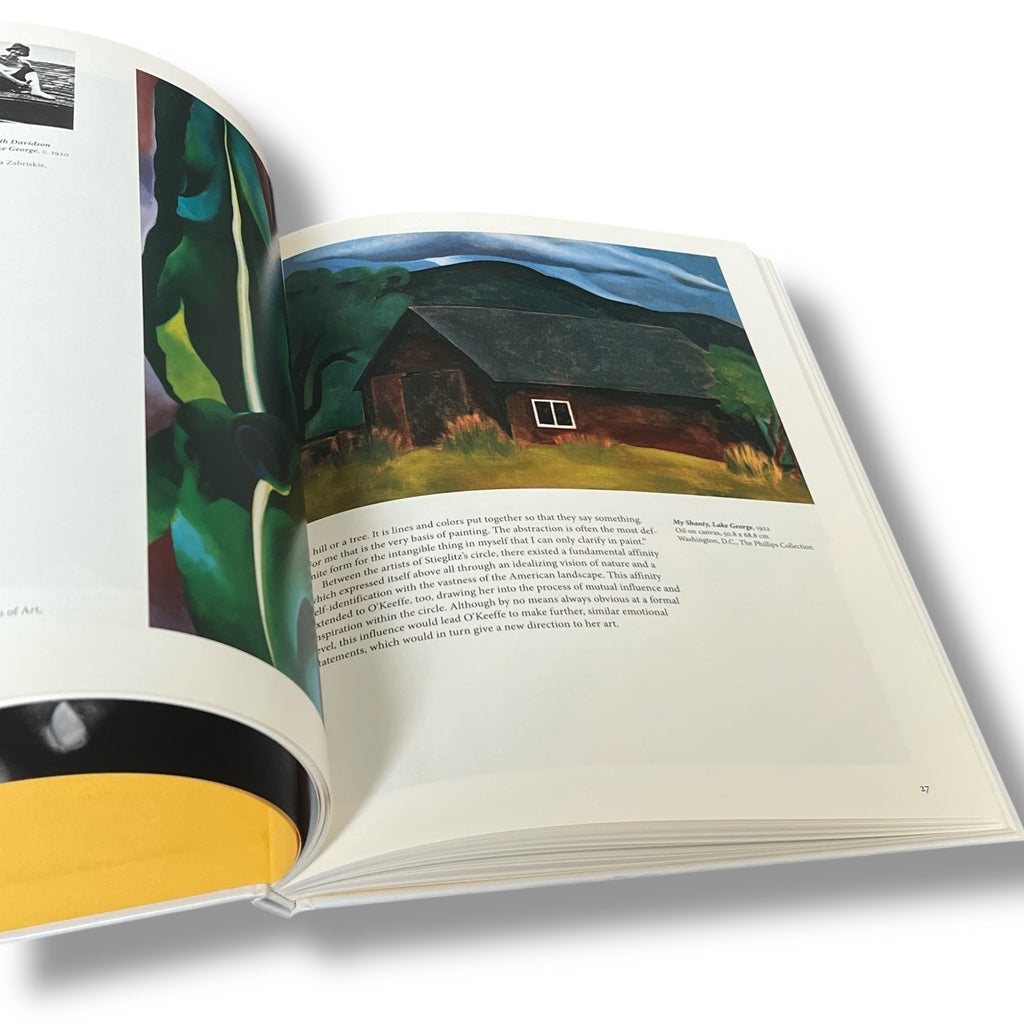 Georgia O'Keeffe by Benke Britta - Illustrated Hardcover (10"x8")