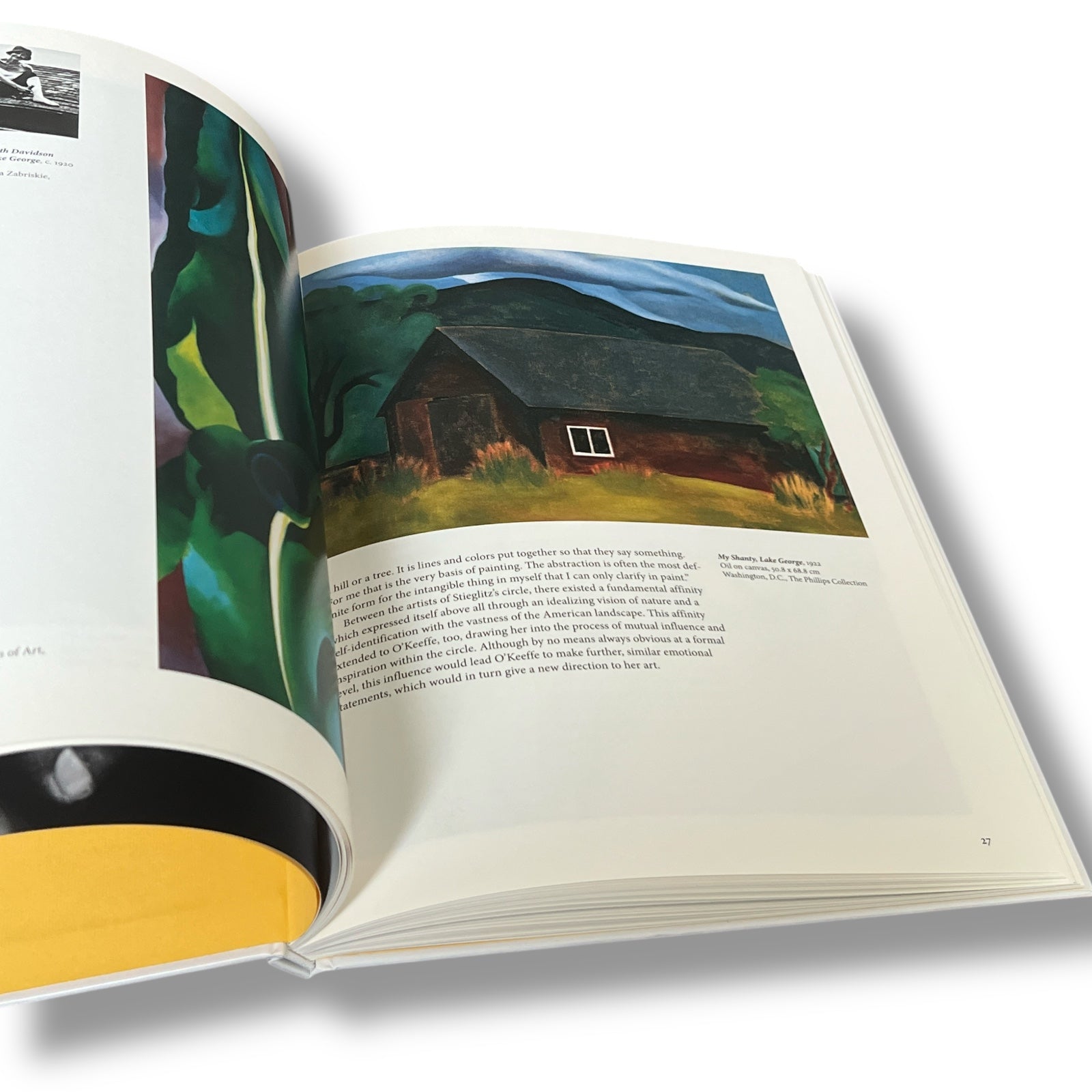 Georgia O'Keeffe by Benke Britta - Illustrated Hardcover (10"x8")