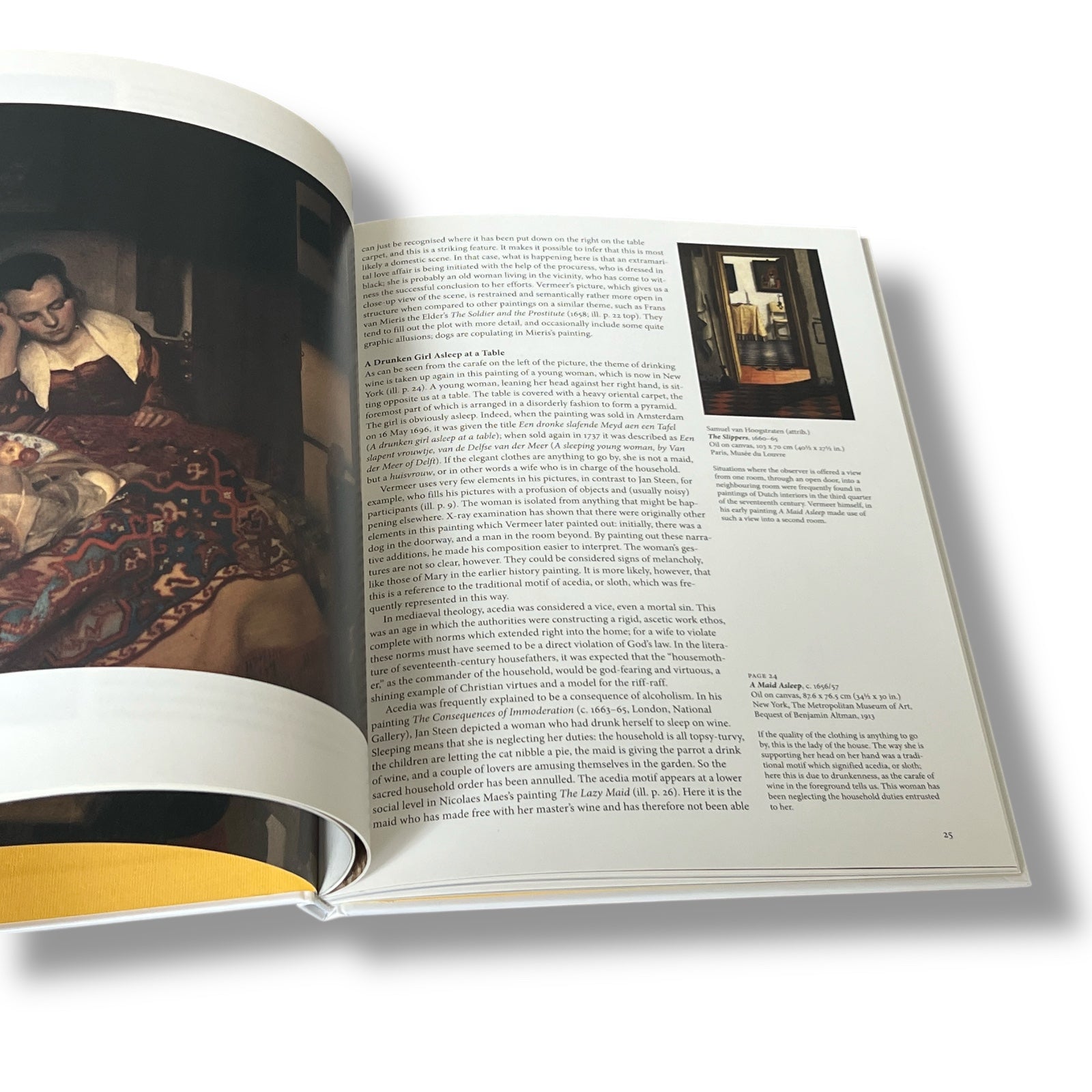 2 Book Set: Vermeer & Michelangelo - Illustrated Hardcover (10"x8")