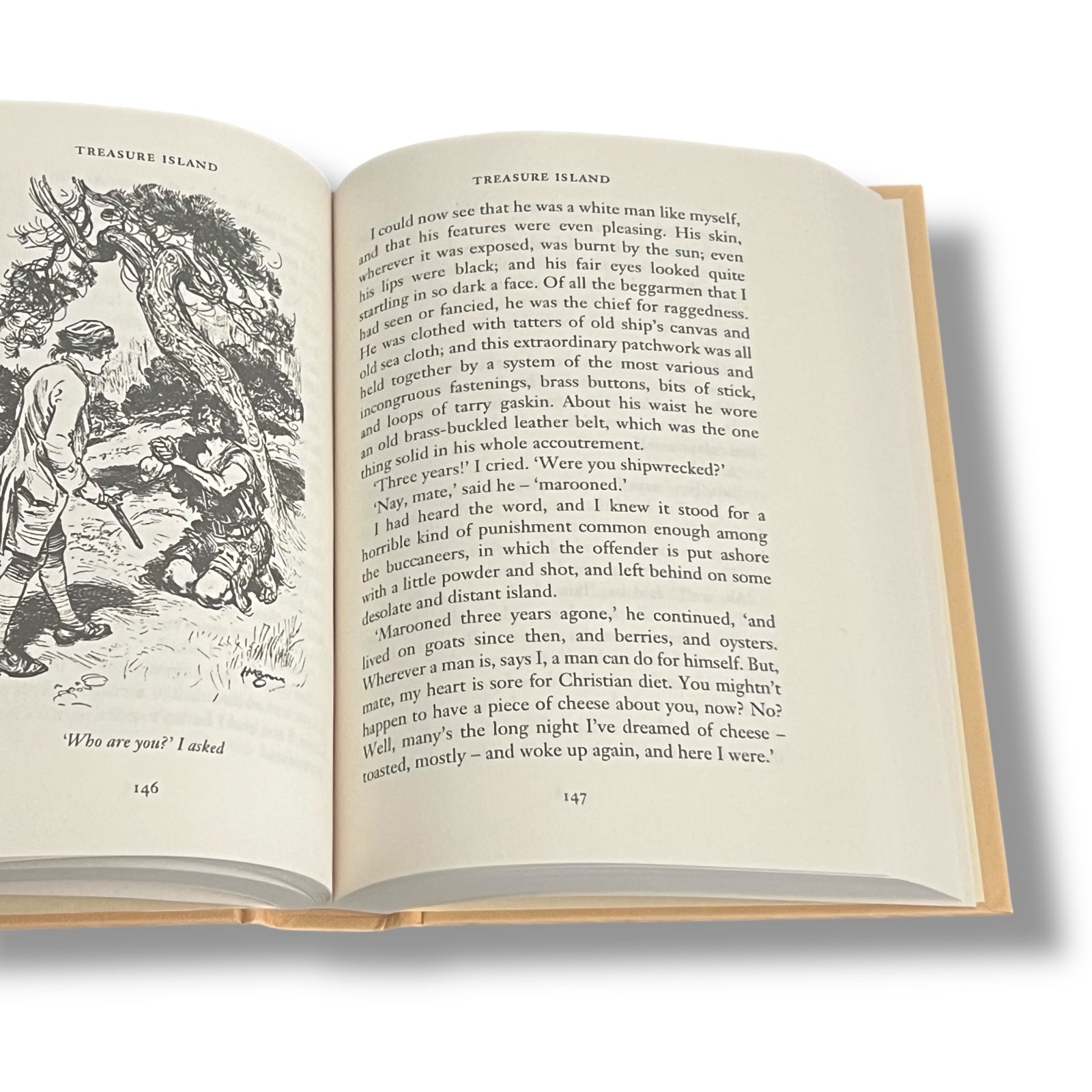 Treasure Island by Robert Louis Stevenson - Collectible Hardcover