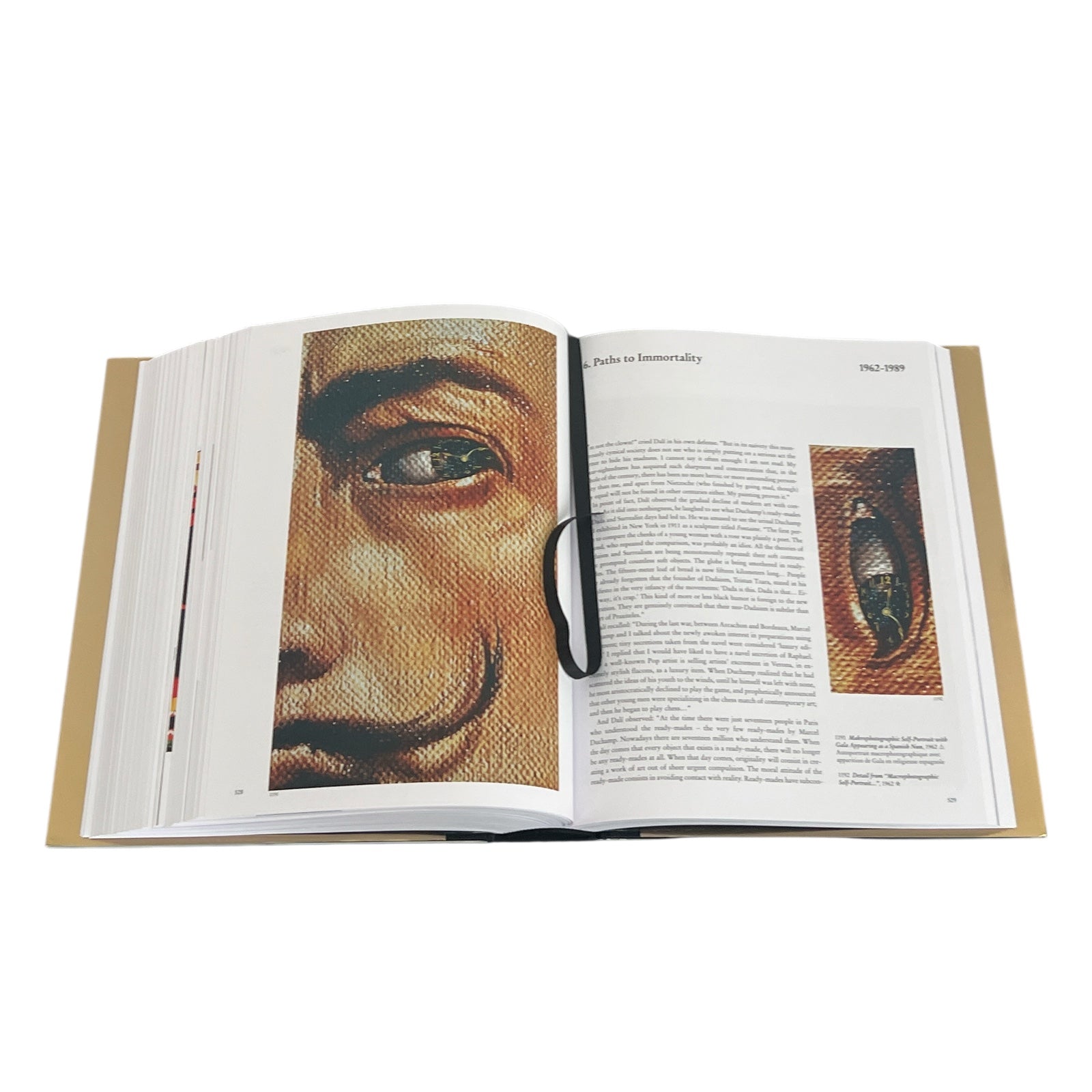 Dalí: The Paintings by Robert Descharnes - Illustrated Hardcover 10x8
