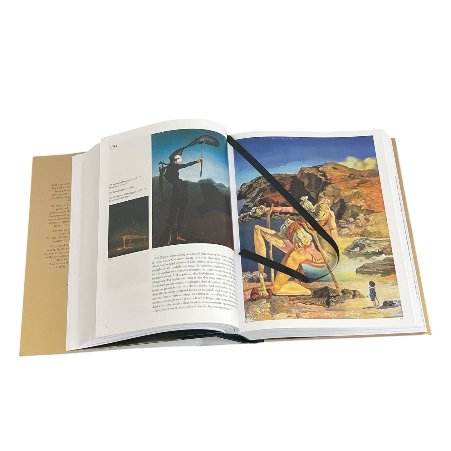 Dalí: The Paintings by Robert Descharnes - Illustrated Hardcover 10x8