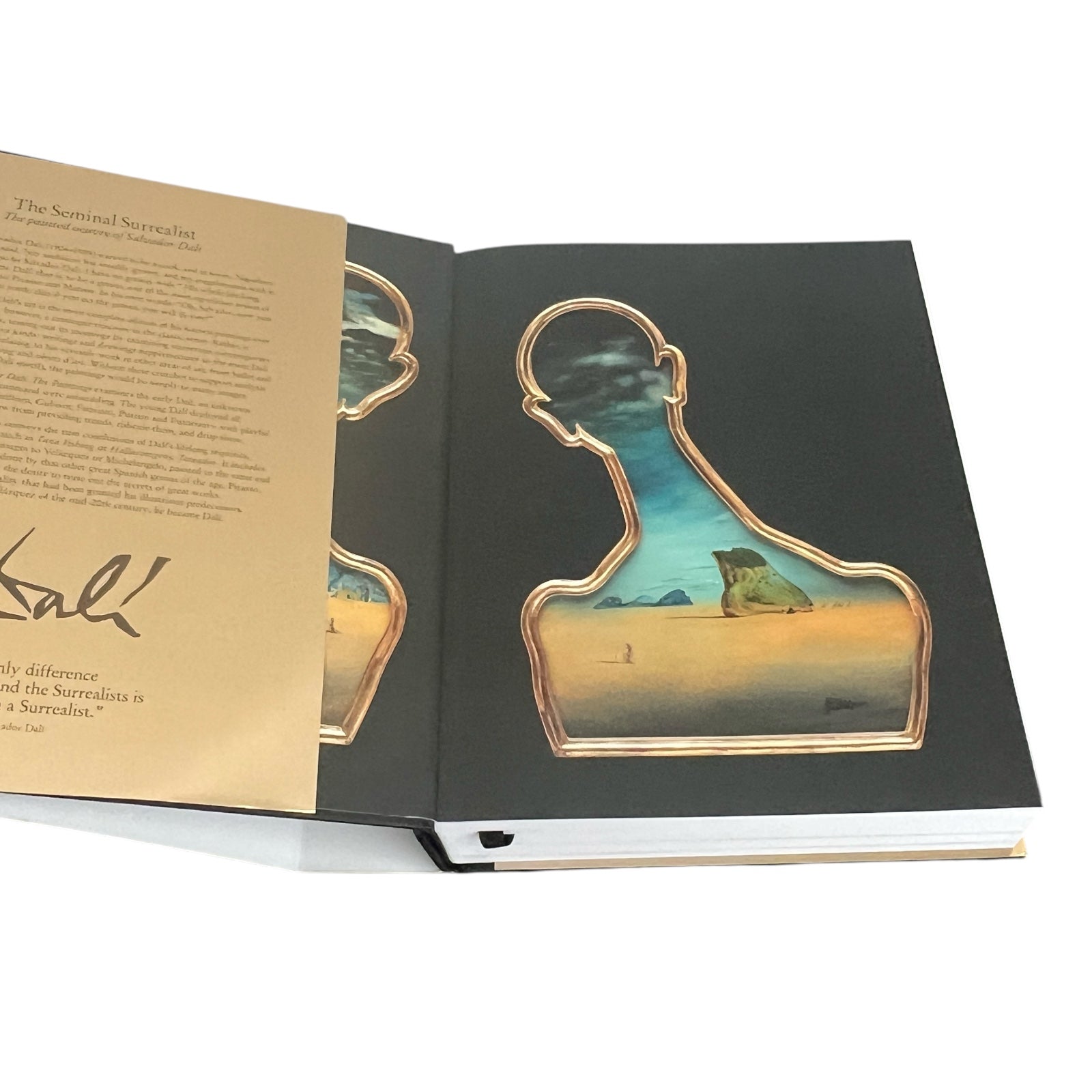 Dalí: The Paintings by Robert Descharnes - Illustrated Hardcover 10x8