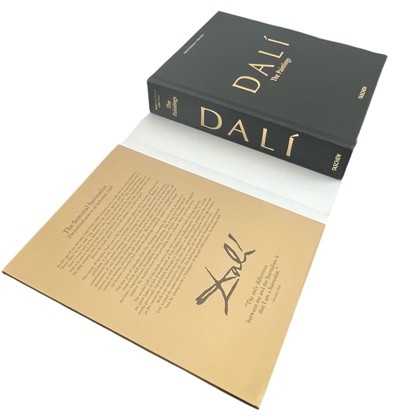 Dalí: The Paintings by Robert Descharnes - Illustrated Hardcover 10x8
