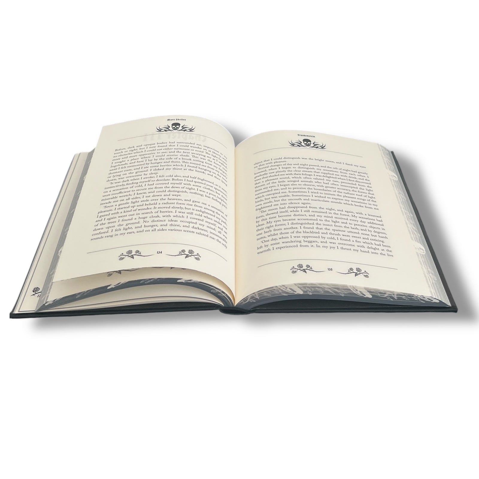 Frankenstein by Mary Shelley - Deluxe Hardcover Classics with Painted Edges