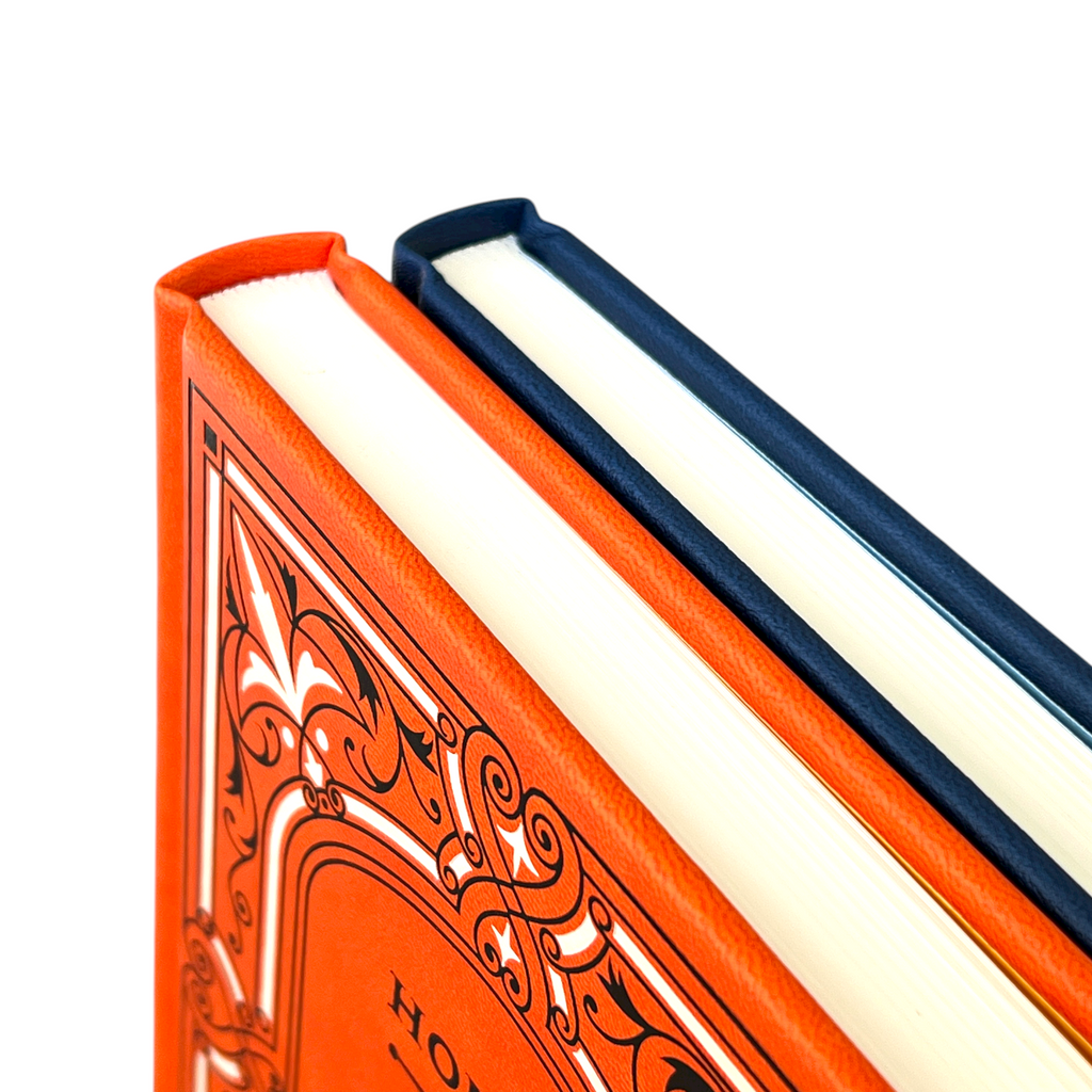 2-Book Set: The Iliad & Odyssey by Homer - Collectible Faux Leather Deluxe Hardcover