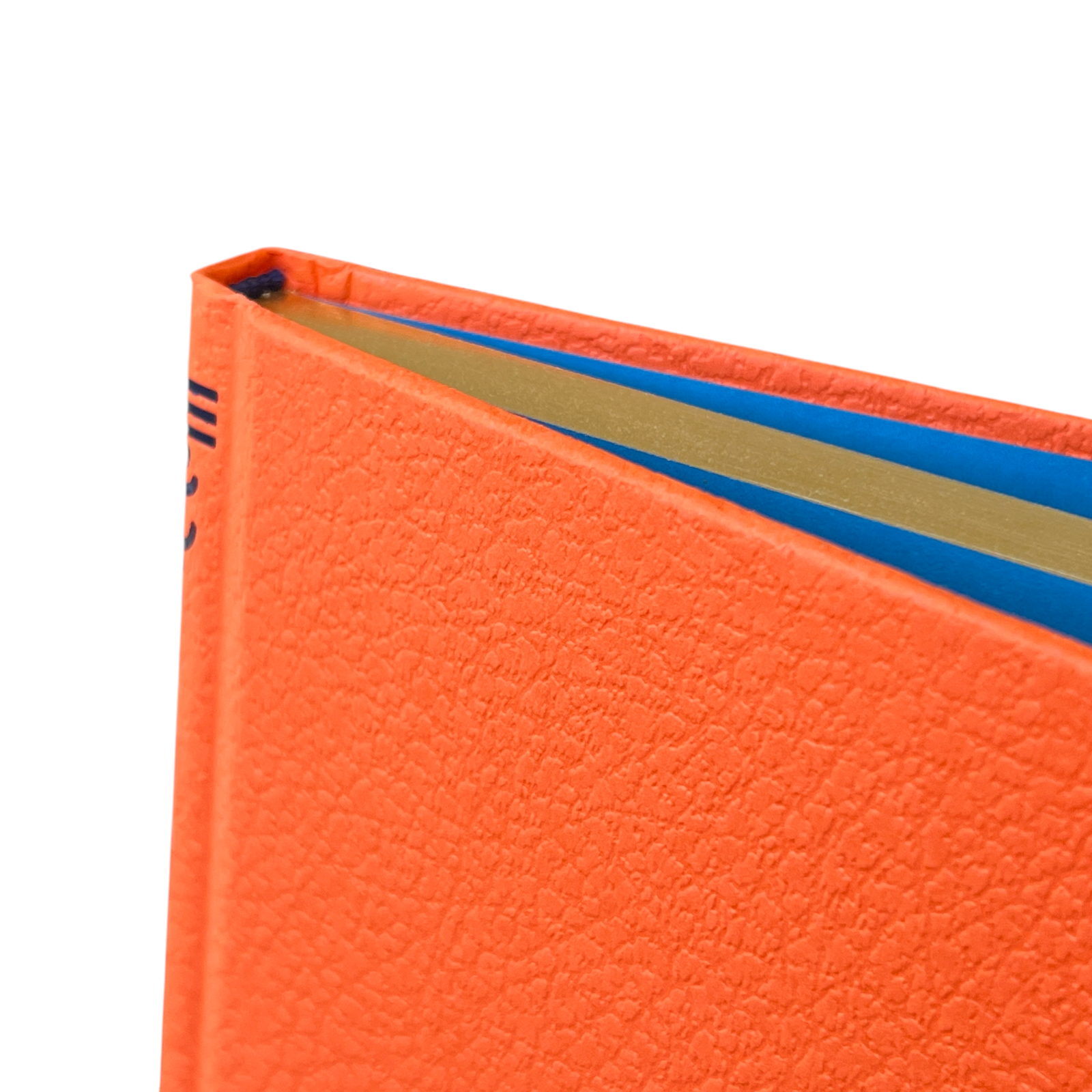 The Alchemist by Paulo Coelho - Deluxe Gilded Hardcover with DustJacket