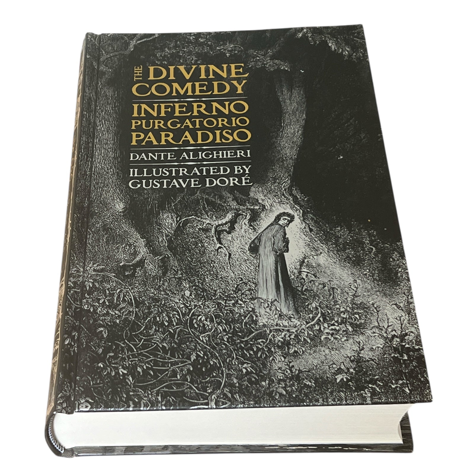 Divine Comedy: Inferno, Purgatorio, Paradiso by Dante Alighieri - Gothic Fantasy - Illustrated Collectible Deluxe Hardcover