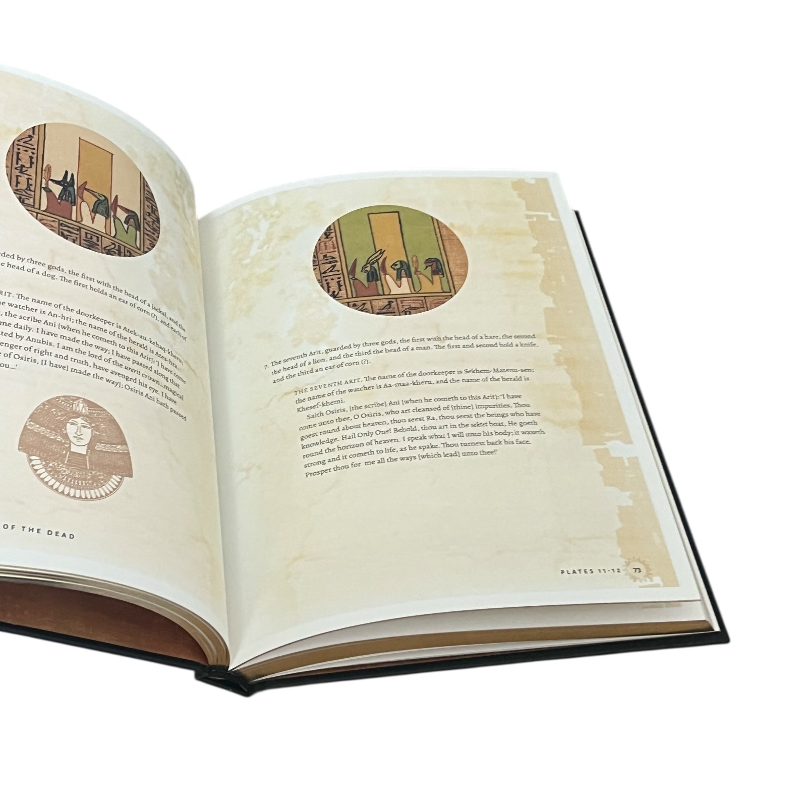 The Egyptian Book of the Dead - Luxury Full-Color Hardcover Gilded