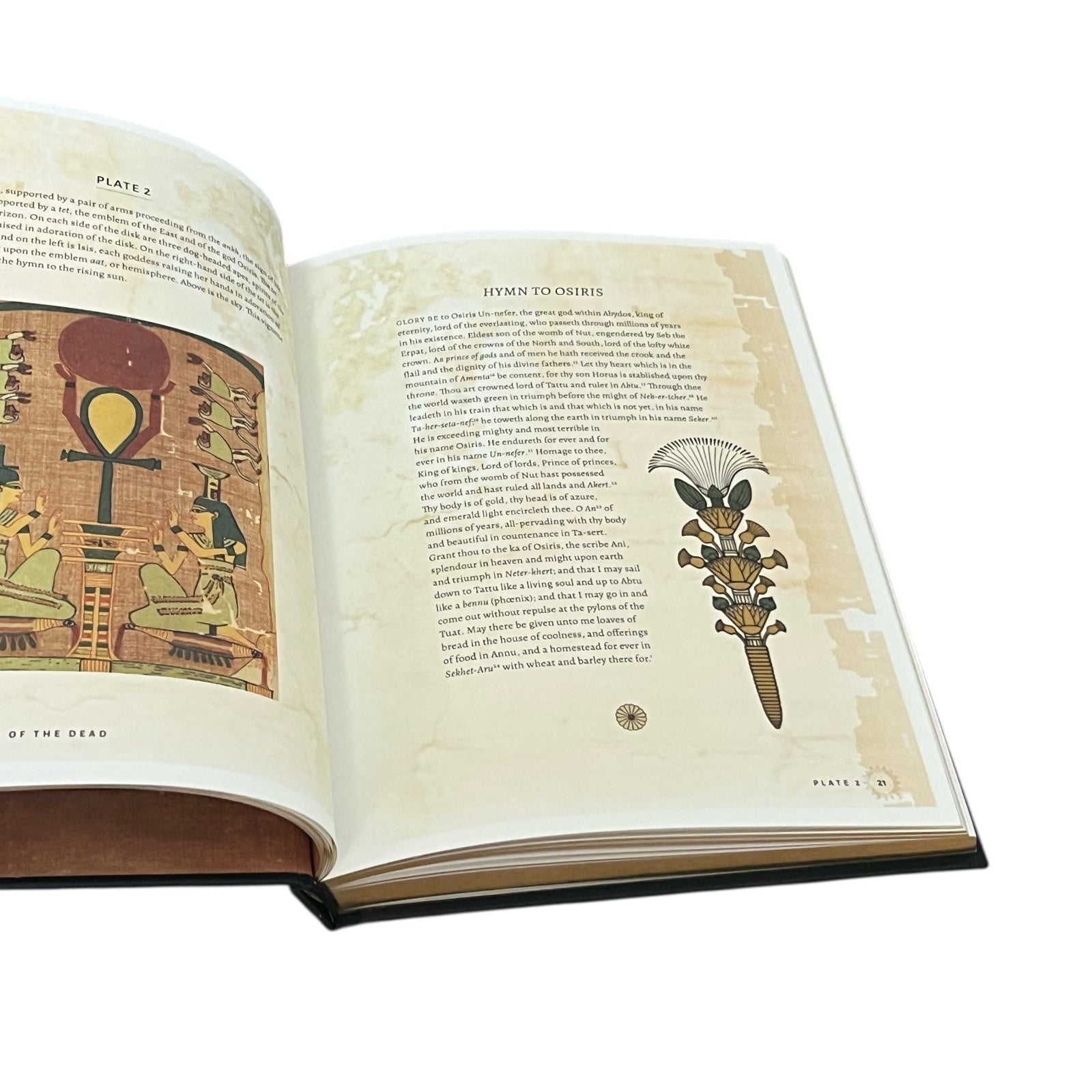 The Egyptian Book of the Dead - Luxury Full-Color Hardcover Gilded