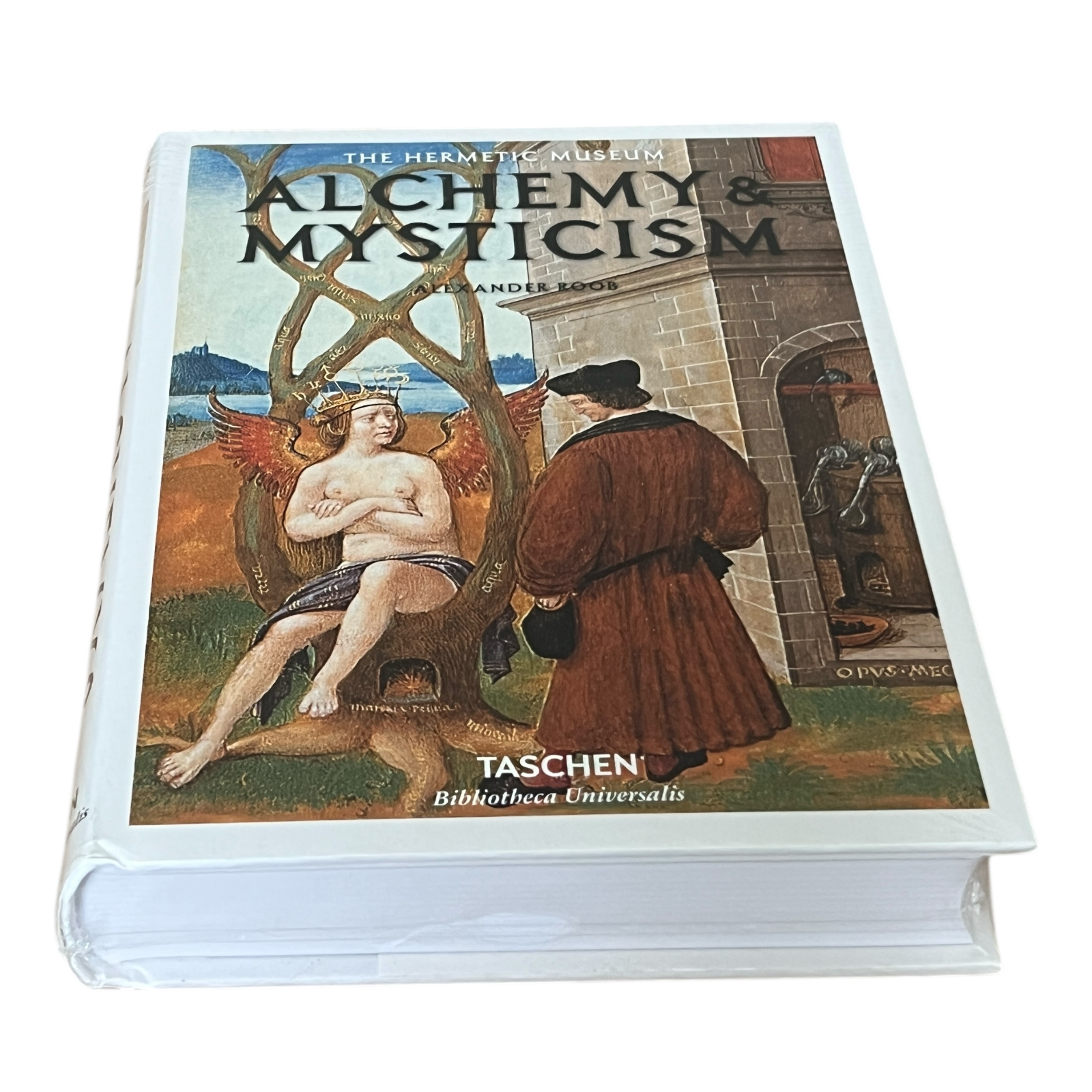 Alchemy & Mysticism by Alexander Roob - Illustrated Decorative Hardcover