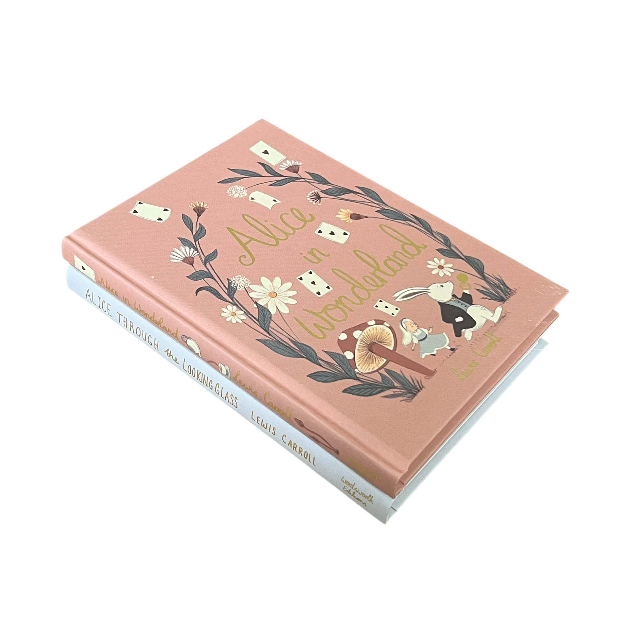 2-Book Set: Alice in Wonderland & Through Looking Glass by L Carroll - Collectible Hardcover
