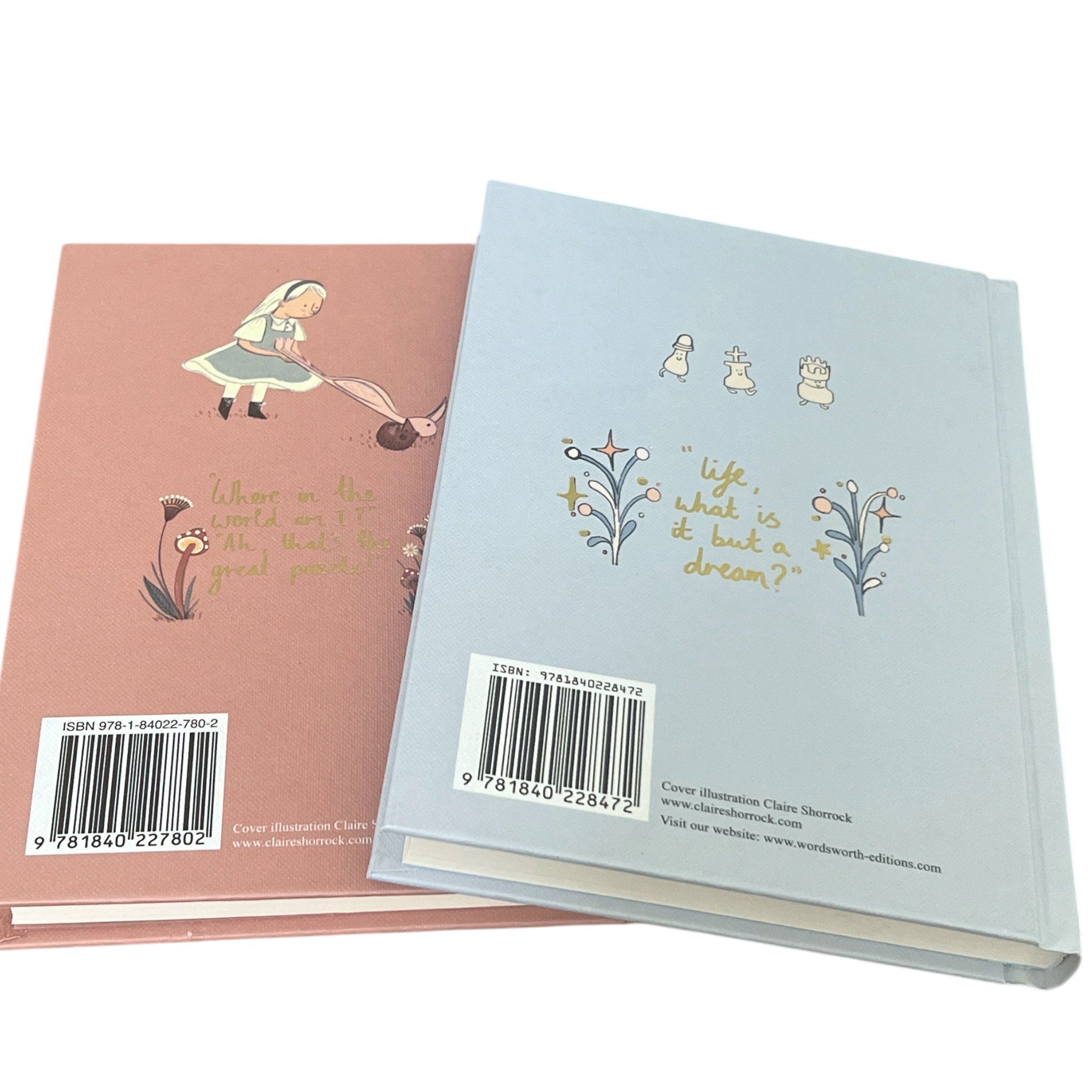 2-Book Set: Alice in Wonderland & Through Looking Glass by L Carroll - Collectible Hardcover