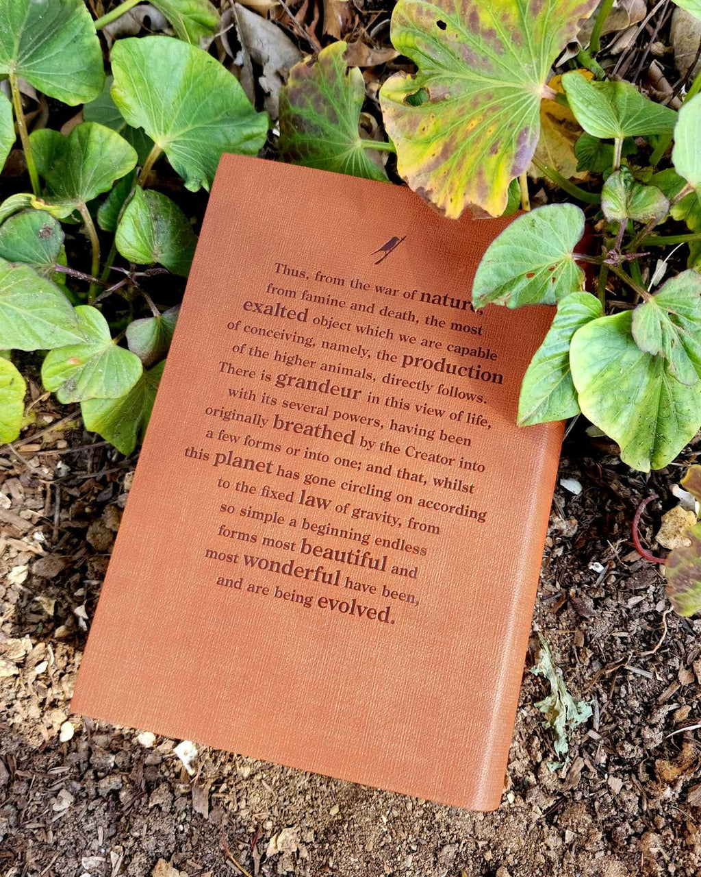 3 Book Set - The US Constitution, Charles Darwin, Alexander Hamilton - Collectible Deluxe Special Gift Edition - Flexi Bound Cover- Classic