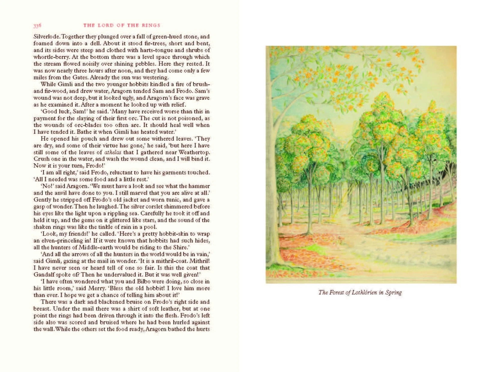 The Lord of the Rings by J R R Tolkien - Deluxe Illustrated Hardcover Edition