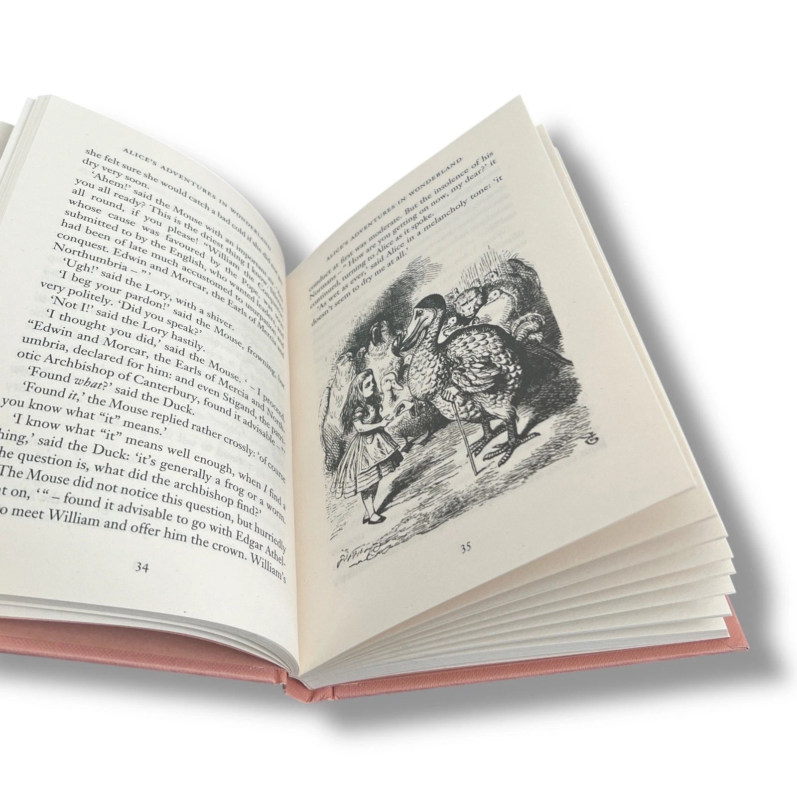 2-Book Set: Alice in Wonderland & Through Looking Glass by L Carroll - Collectible Hardcover