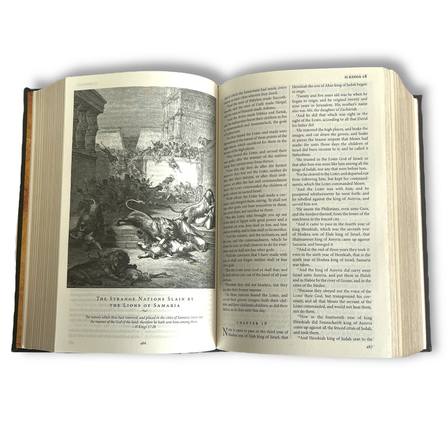 THE HOLY BIBLE King James Version KJV Illustrated Gustave Dore - Collectible Deluxe Leather Bound Hardcover Edition