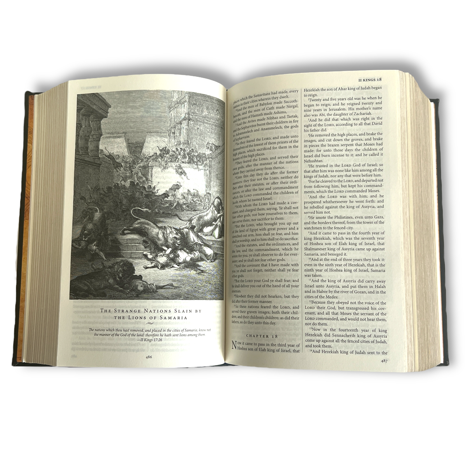 The Holy Bible King James Version KJV Illustrated Gustave Dore - Collectible Leather Bound Hardcover
