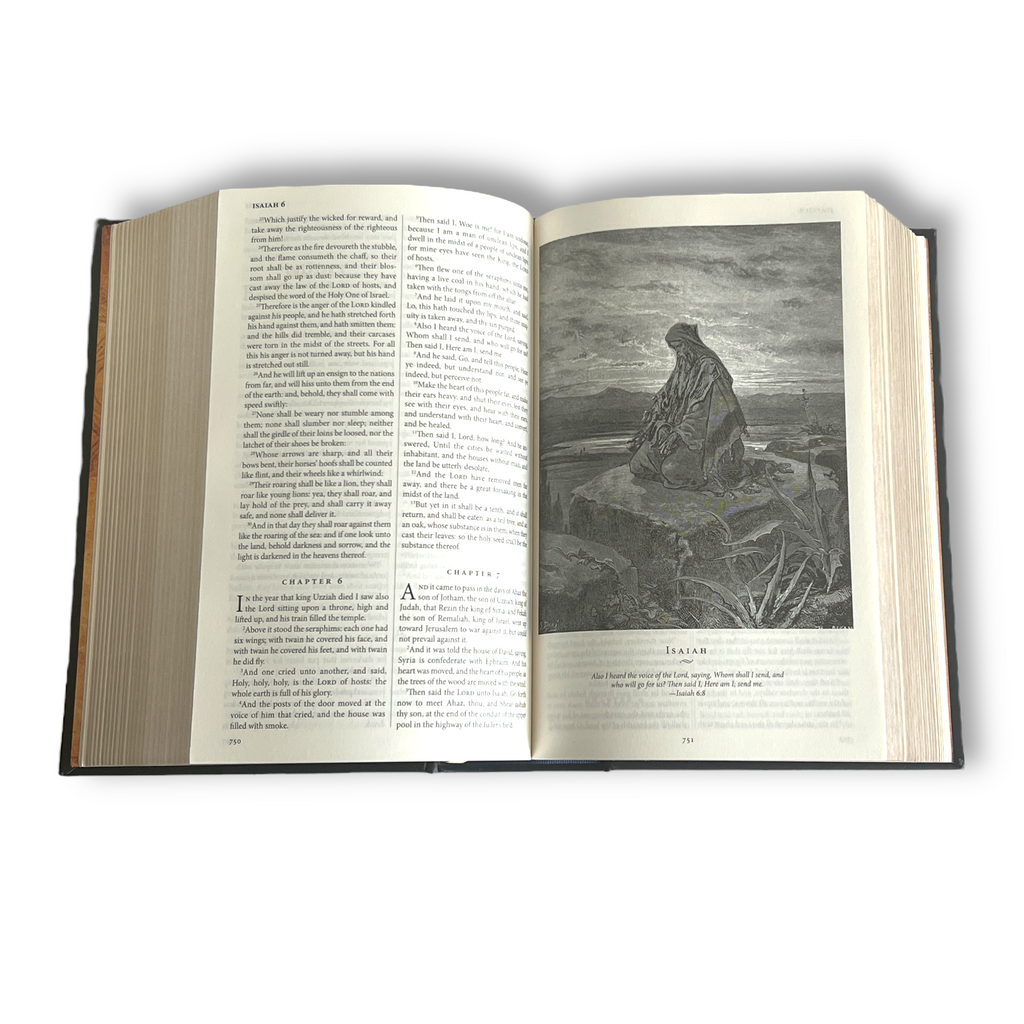 The Holy Bible King James Version KJV Illustrated Gustave Dore - Collectible Leather Bound Hardcover