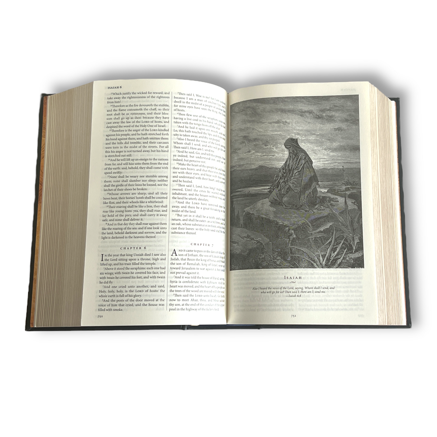 THE HOLY BIBLE King James Version KJV Illustrated Gustave Dore - Collectible Deluxe Leather Bound Hardcover Edition