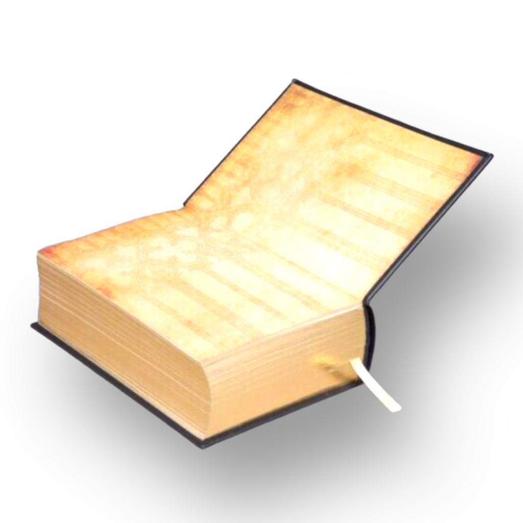 The Holy Bible King James Version KJV Illustrated Gustave Dore - Collectible Leather Bound Hardcover