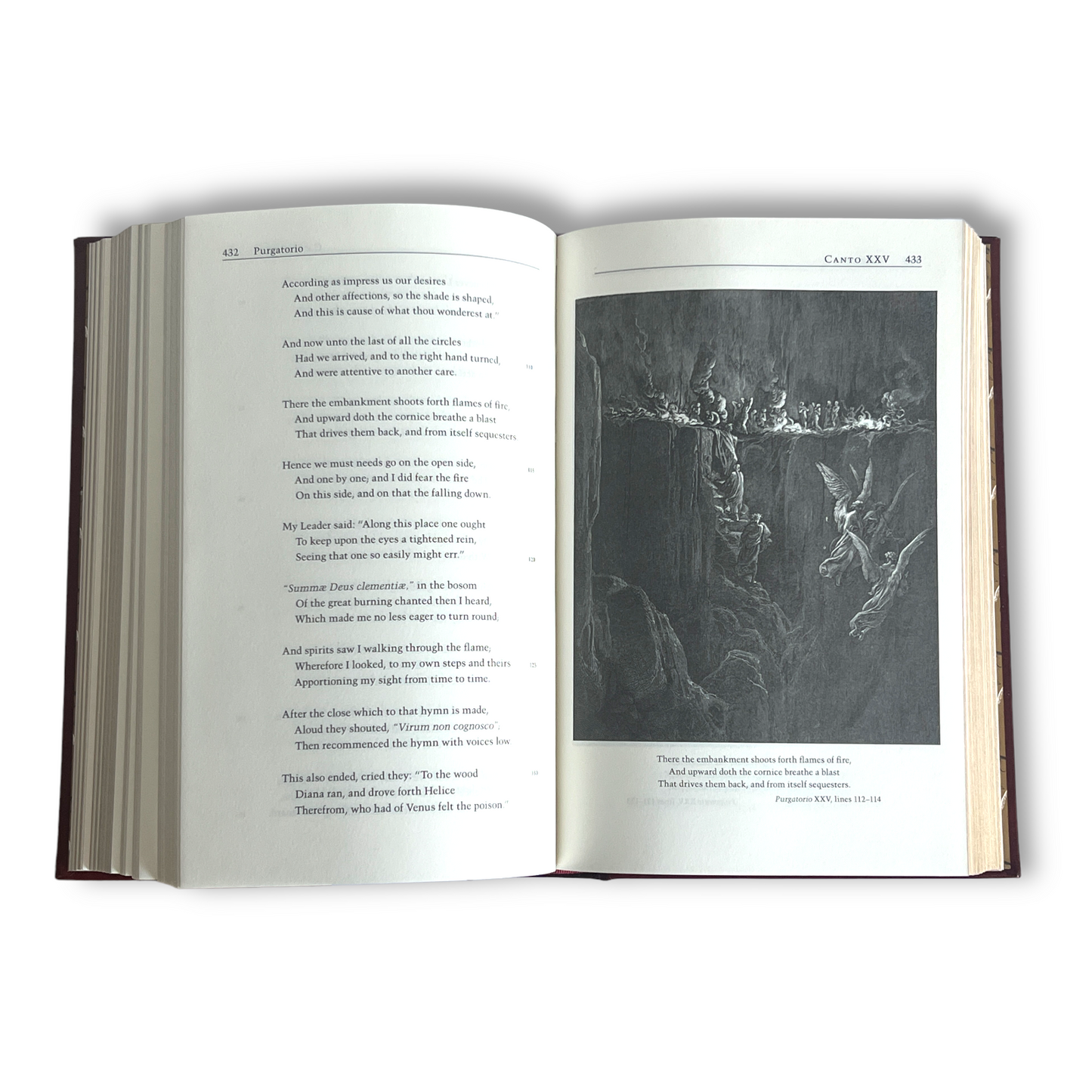 The DIVINE COMEDY Dante Alighieri Gustave Dore - Collectible Deluxe Edition - ILLUSTRATED Leather Bound Hardcover - Best Seller Classic Book