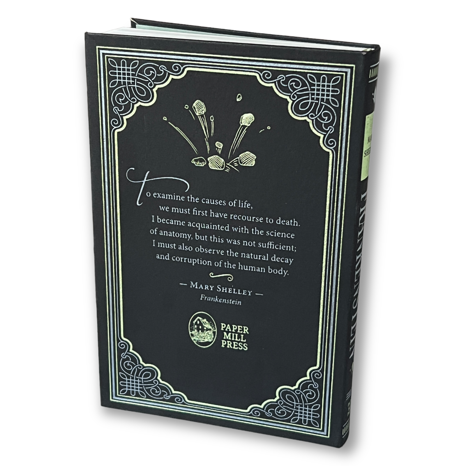 Frankenstein by Mary Shelley - Collectible Imitation Leather Flexi Cover Edition