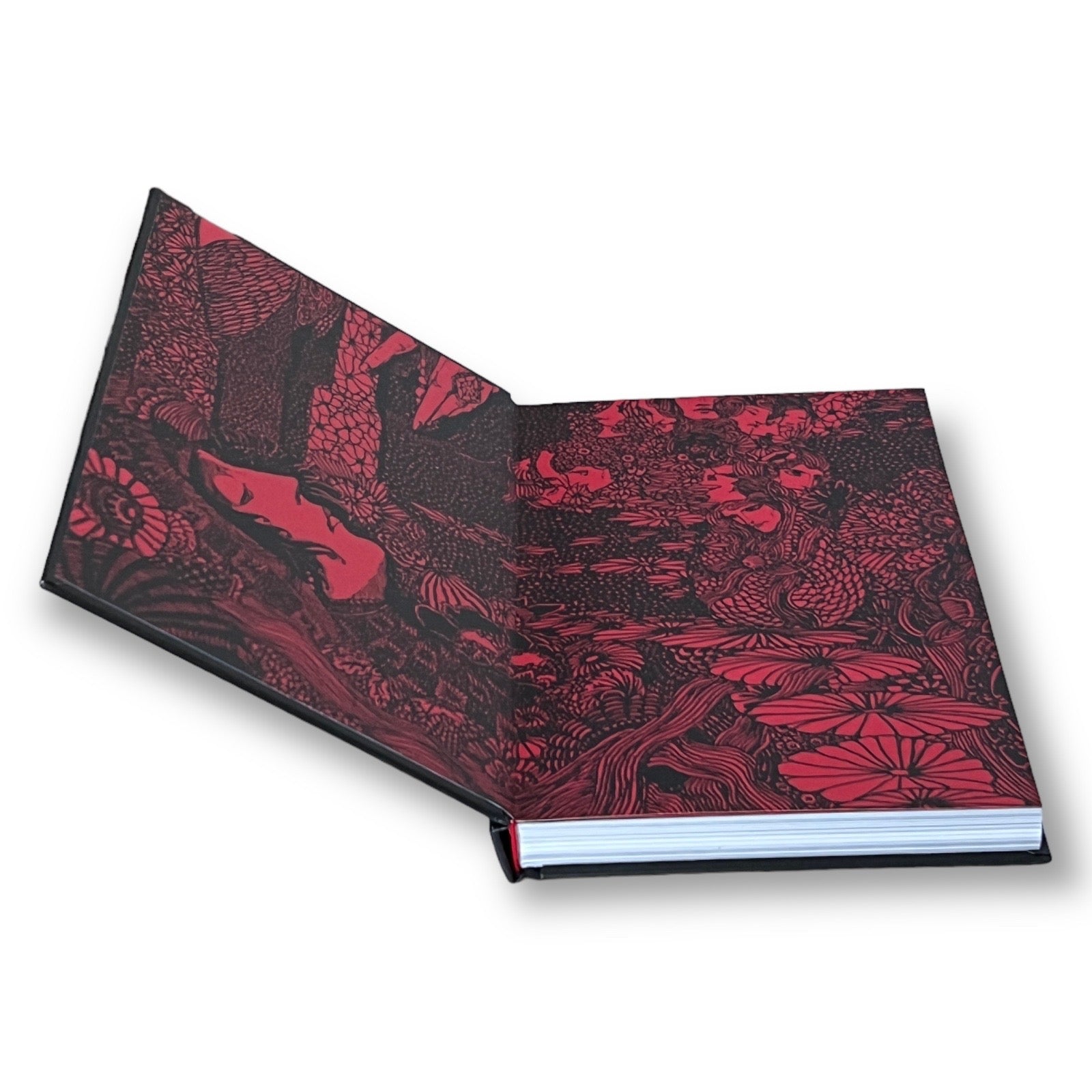 Edgar Allan Poe: Illustrated Tales - Full-Color Deluxe Hardcover