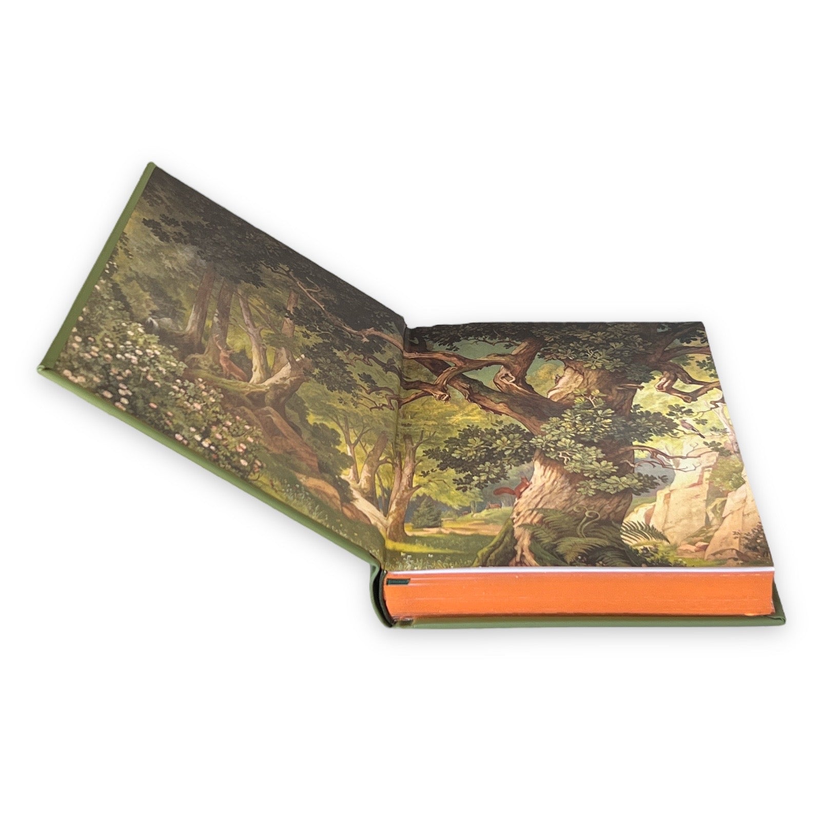 The Merry Adventures of Robin Hood by Howard Pyle - Collectible Leather Bound Hardcover