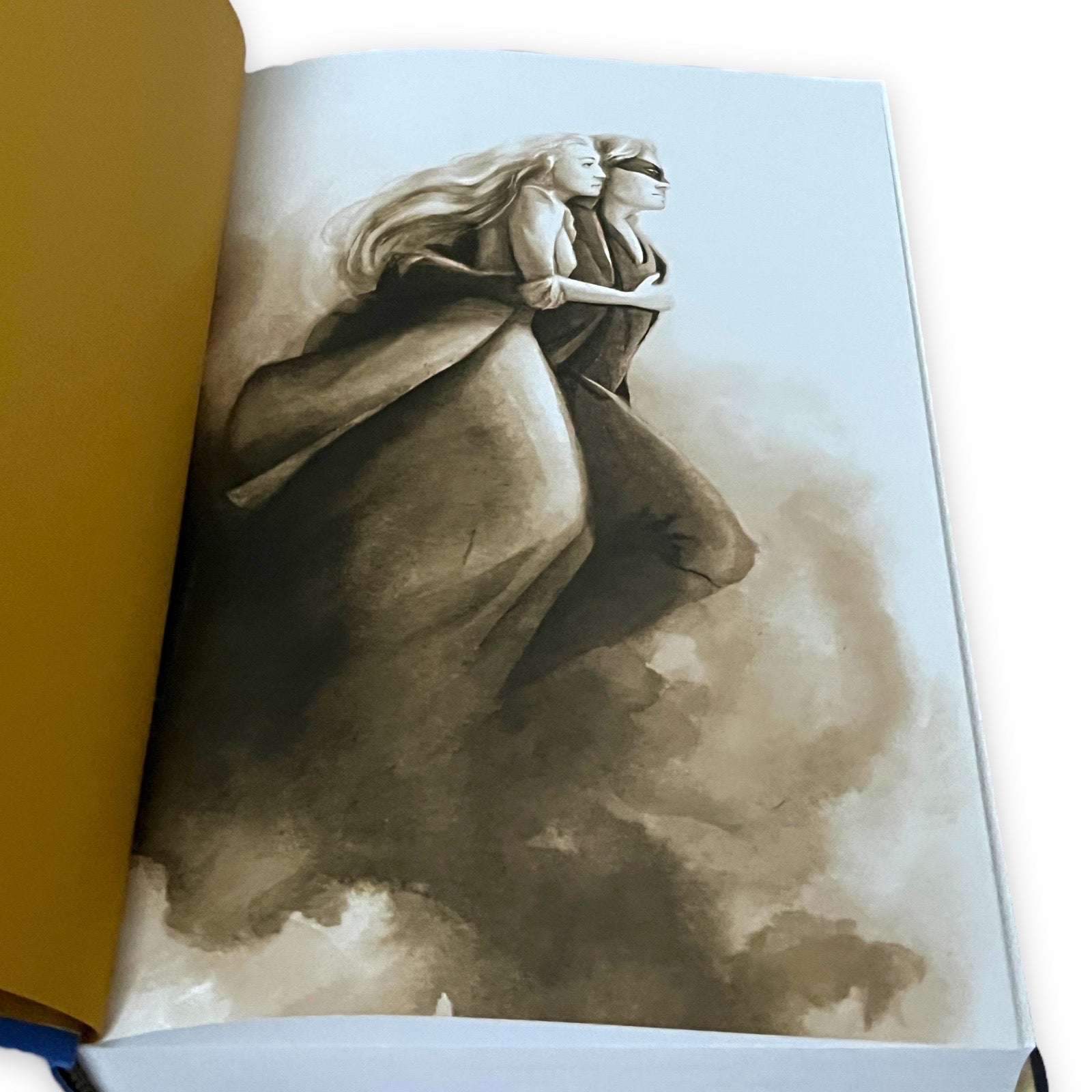 The Princess Bride by W Goldman - Illustrated Hardcover