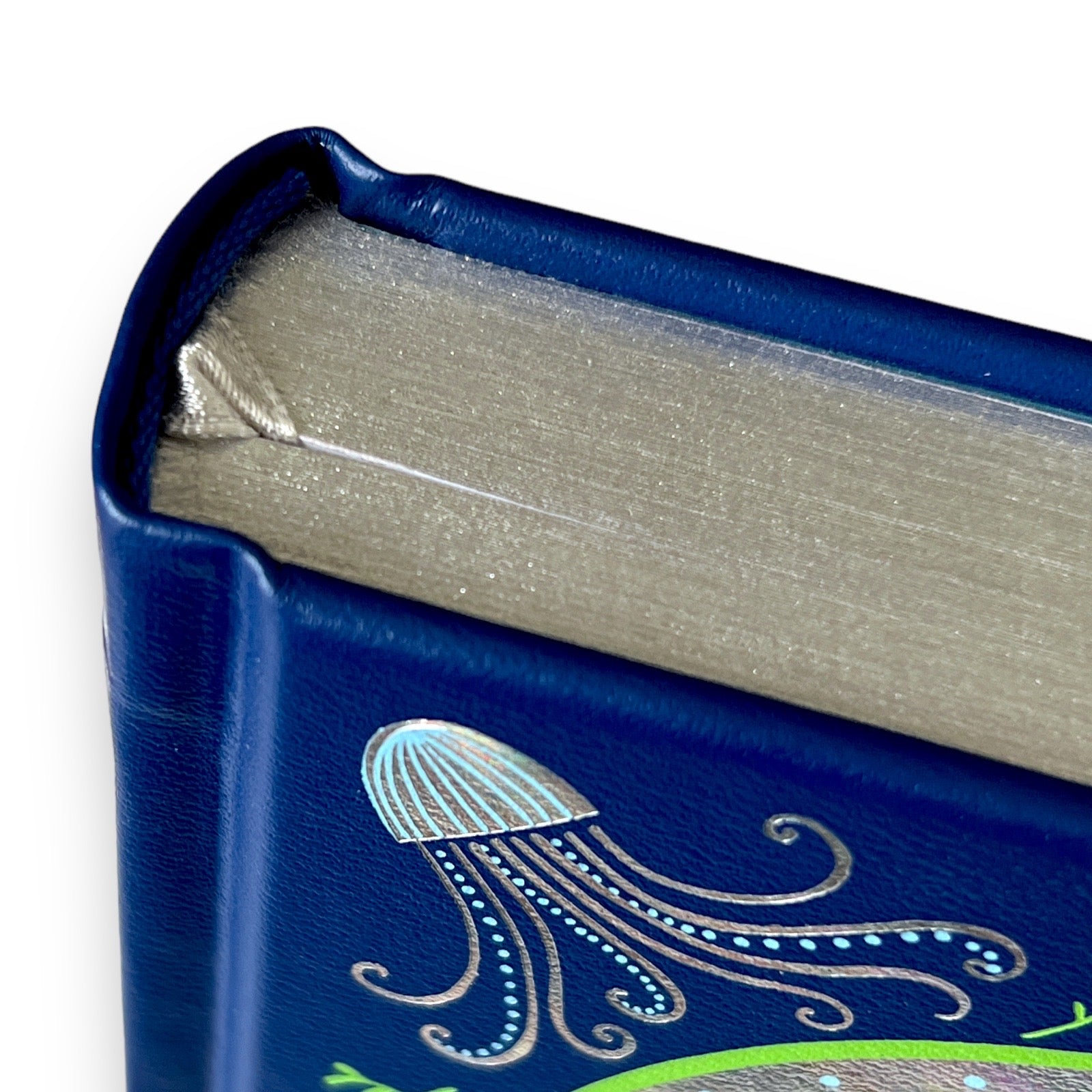 Twenty Thousand Leagues Under the Sea by Jules Verne - Collectible ILLUSTRATED Leather Bound Hardcover