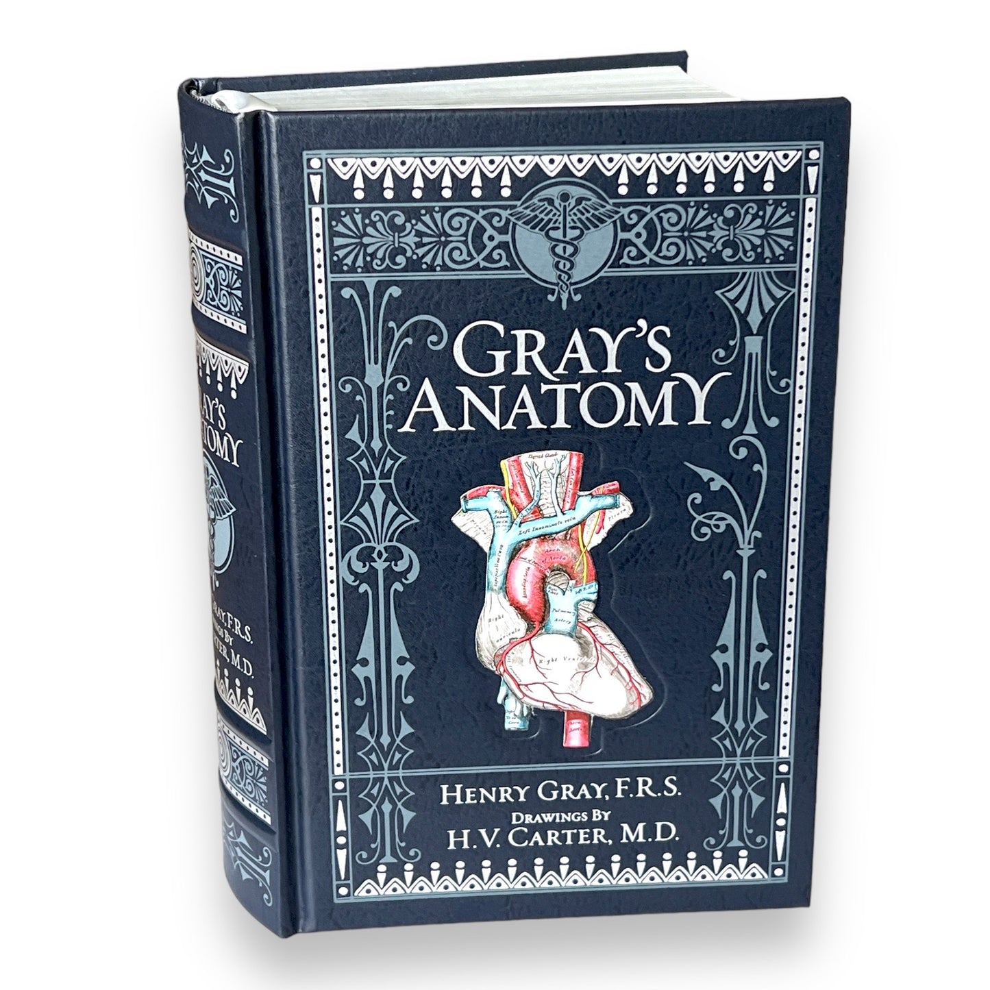 GRAY'S ANATOMY Henry Gray - Collectible Deluxe Special Gift Edition - ILLUSTRATED Leather Bound Hardcover Best Seller - Classic Book