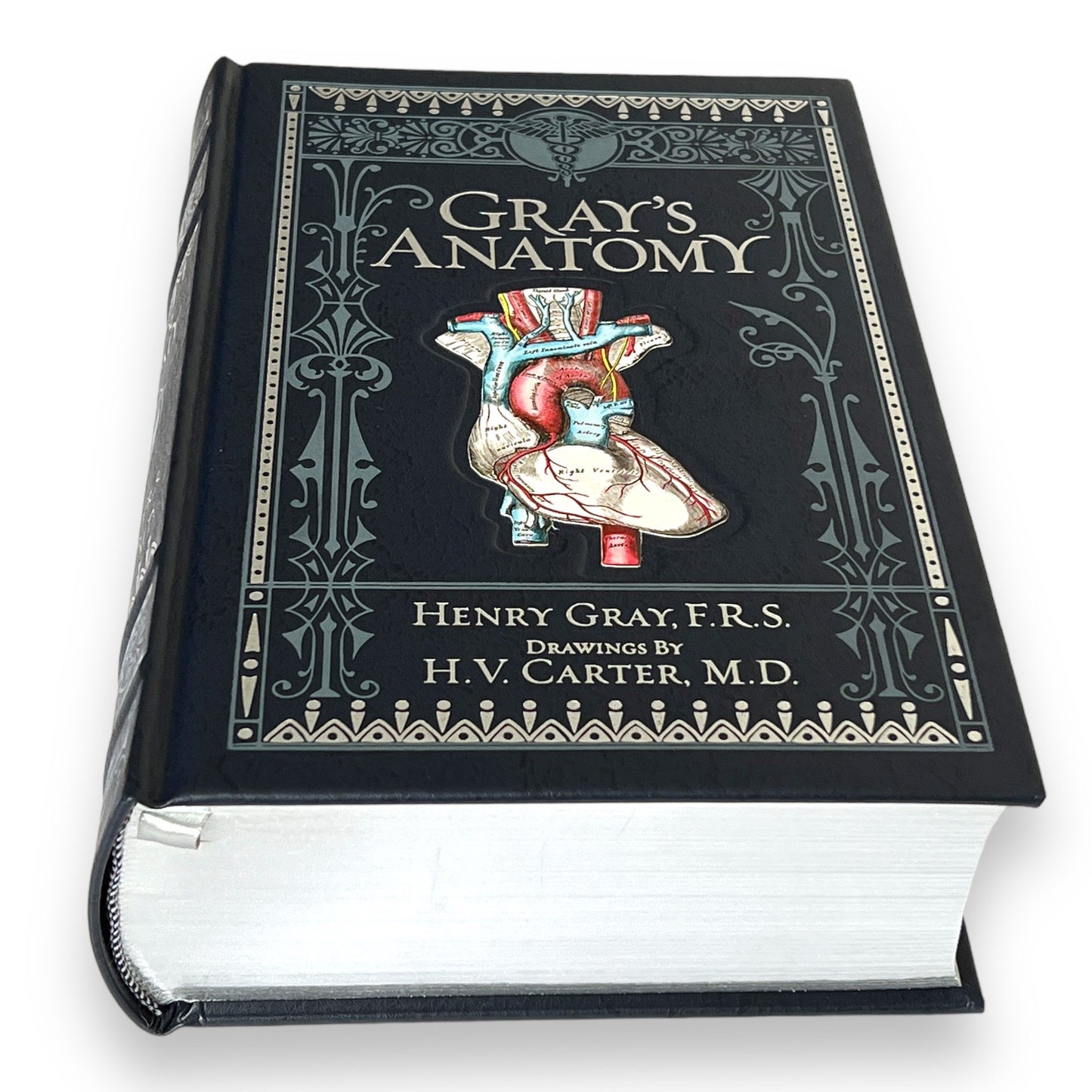 GRAY'S ANATOMY Henry Gray - Collectible Deluxe Special Gift Edition - ILLUSTRATED Leather Bound Hardcover Best Seller - Classic Book