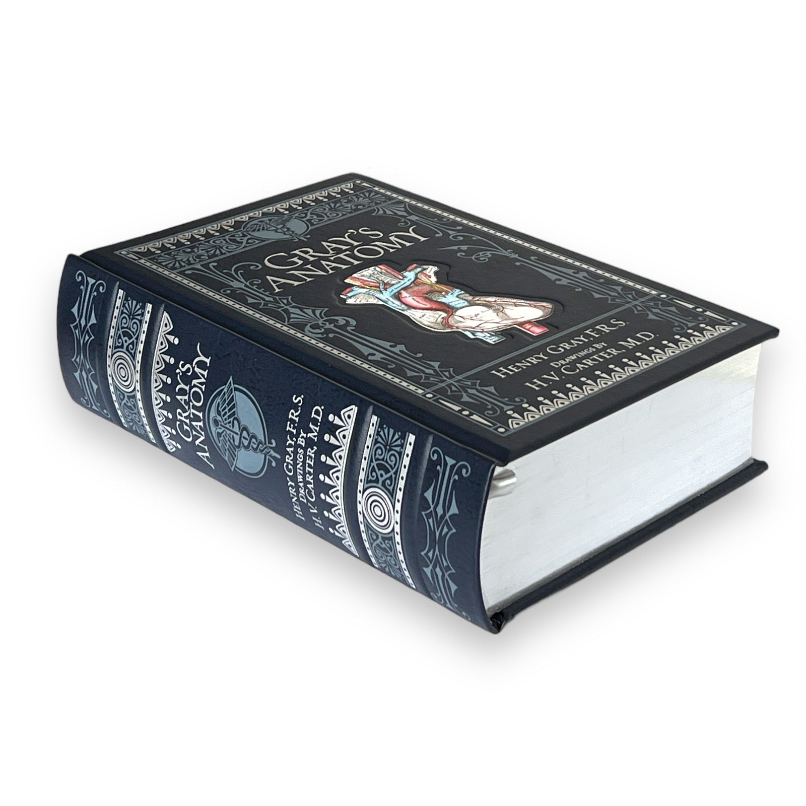 Gray's Anatomy by Henry Gray - Collectible Illustrated Leather Bound Hardcover