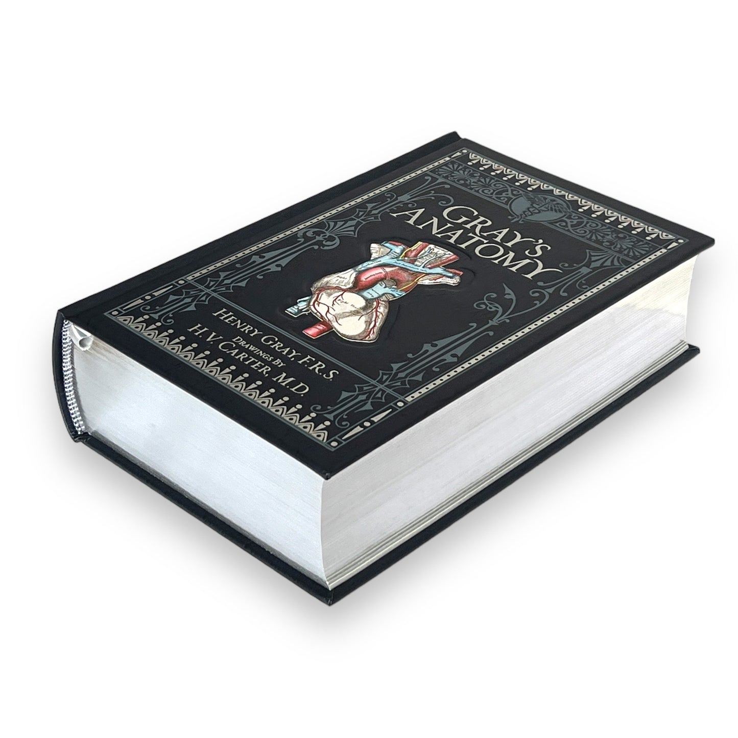 GRAY'S ANATOMY Henry Gray - Collectible Deluxe Special Gift Edition - ILLUSTRATED Leather Bound Hardcover Best Seller - Classic Book