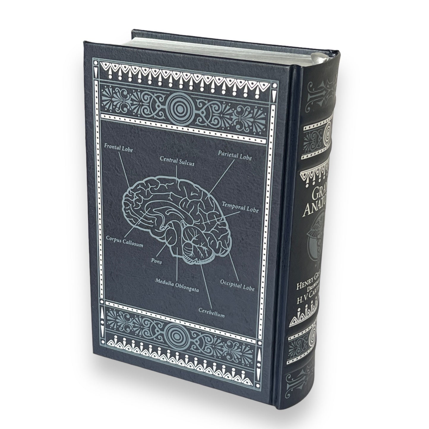 GRAY'S ANATOMY Henry Gray - Collectible Deluxe Special Gift Edition - ILLUSTRATED Leather Bound Hardcover Best Seller - Classic Book