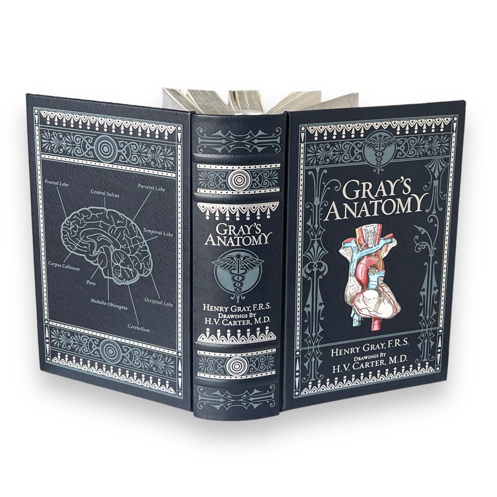 Gray's Anatomy by Henry Gray - Collectible Illustrated Leather Bound Hardcover