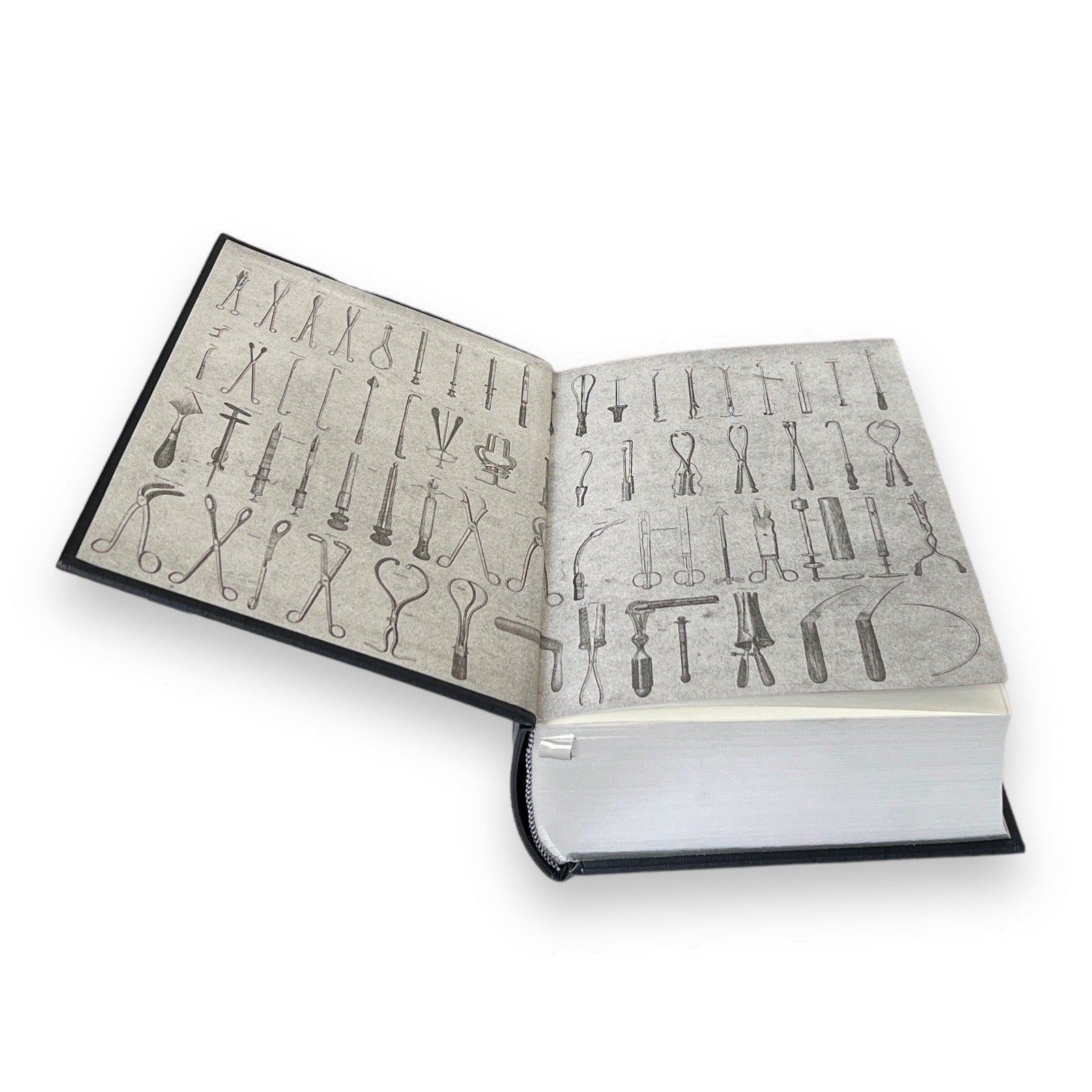 Gray's Anatomy by Henry Gray - Collectible Illustrated Leather Bound Hardcover