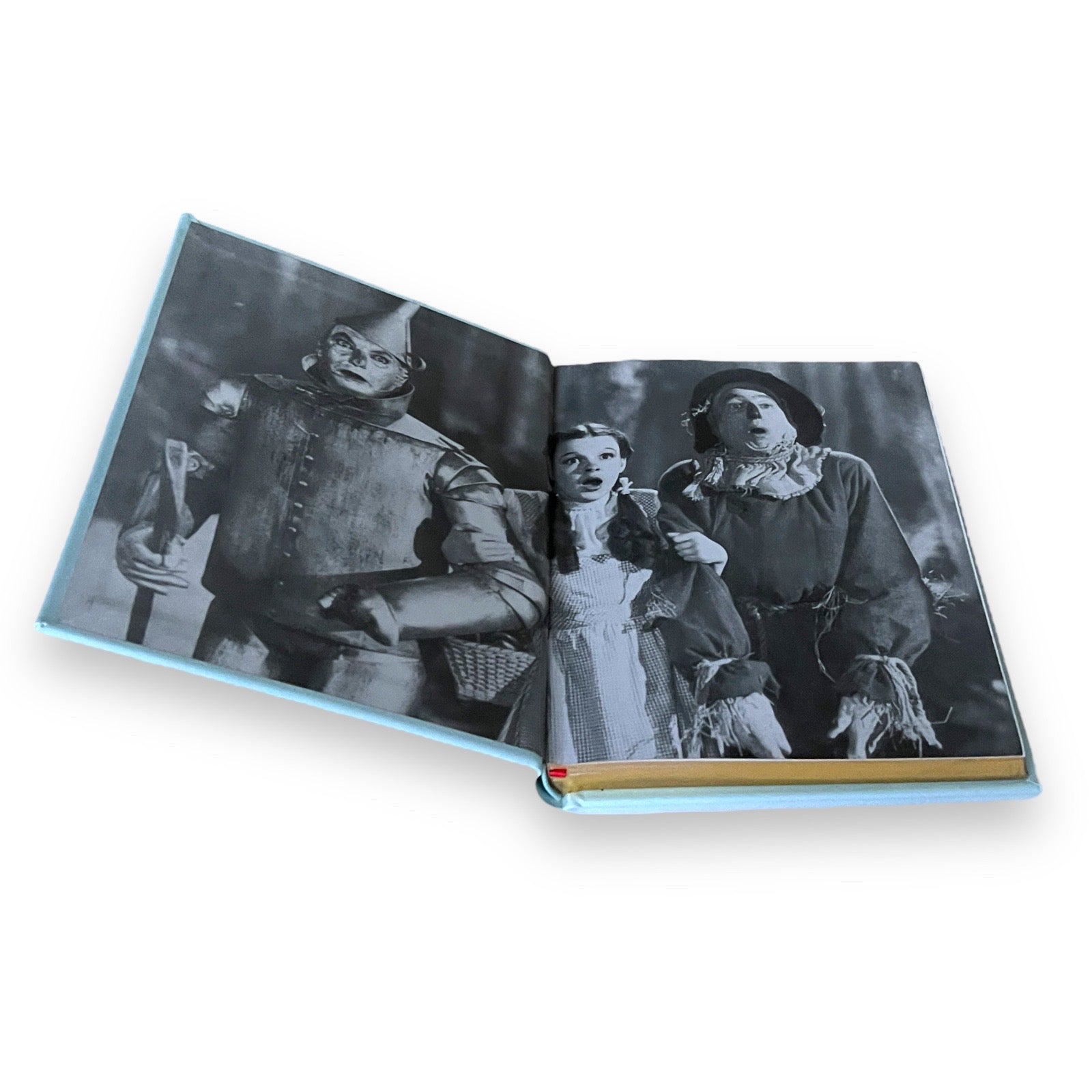 The Wizard of Oz by L. Frank Baum - Collectible Illustrated Leather Bound Hardcover