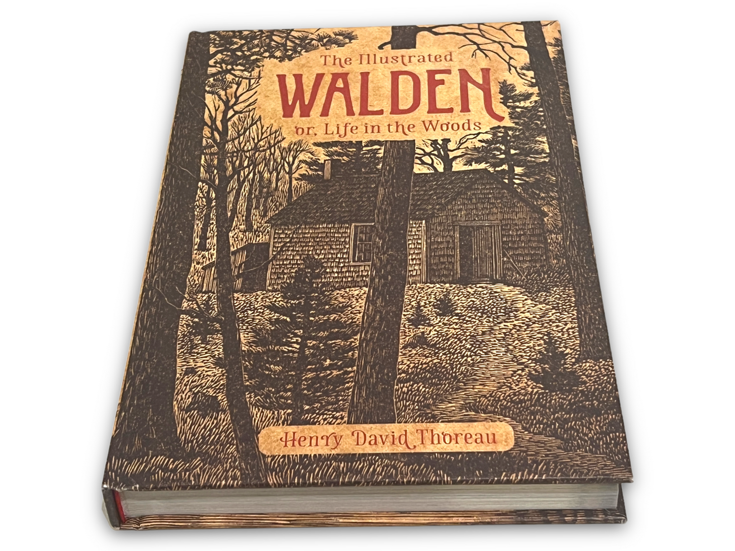 THE ILLUSTRATED WALDEN or Life in The Woods by Henry David Thoreau Collectible Deluxe Edition - Leather Bound Hardcover - Best Seller - Classic Book