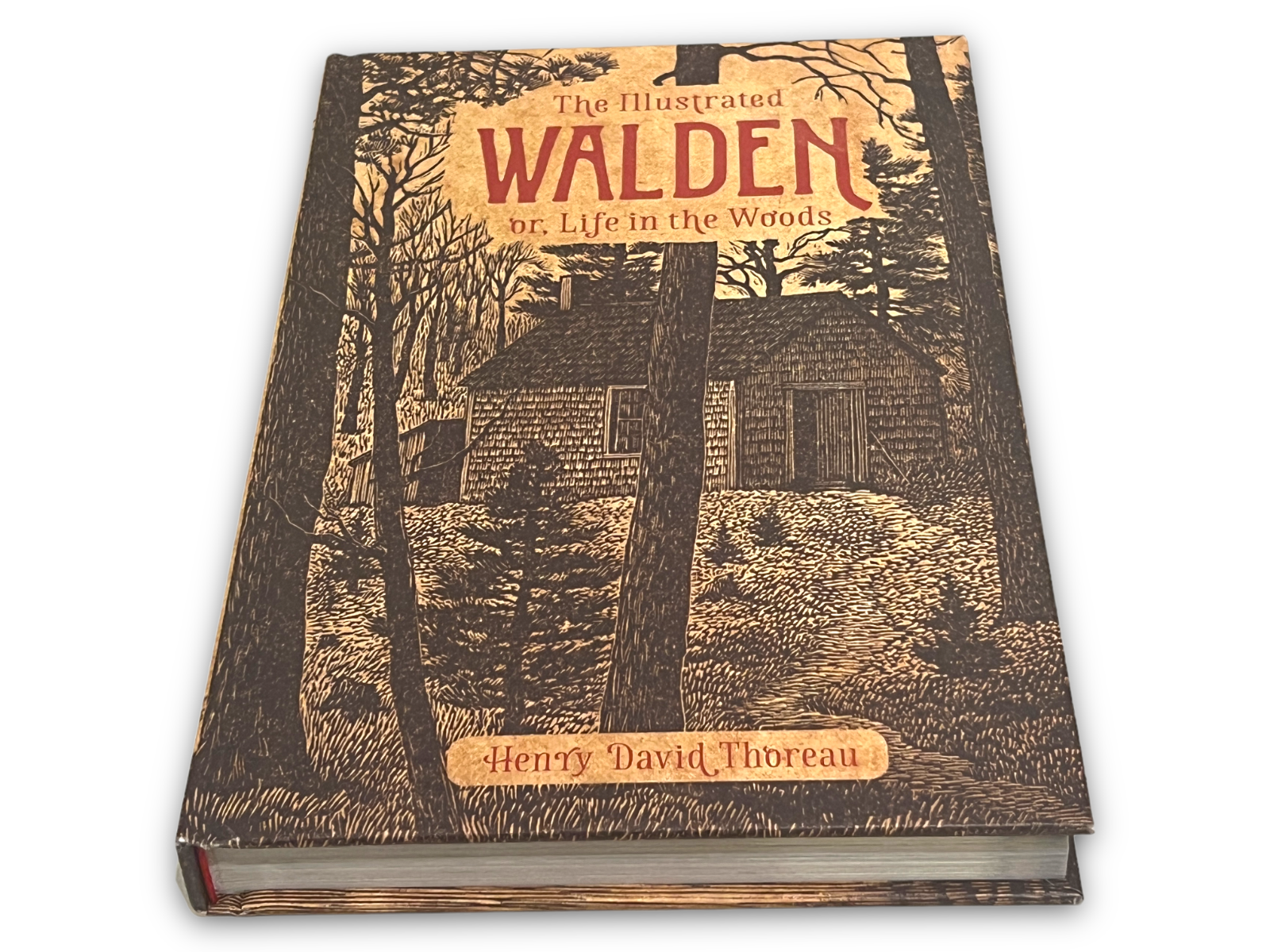 The Illustrated Walden: or, Life in the Woods by Henry David Thoreau - Full-Color Hardcover