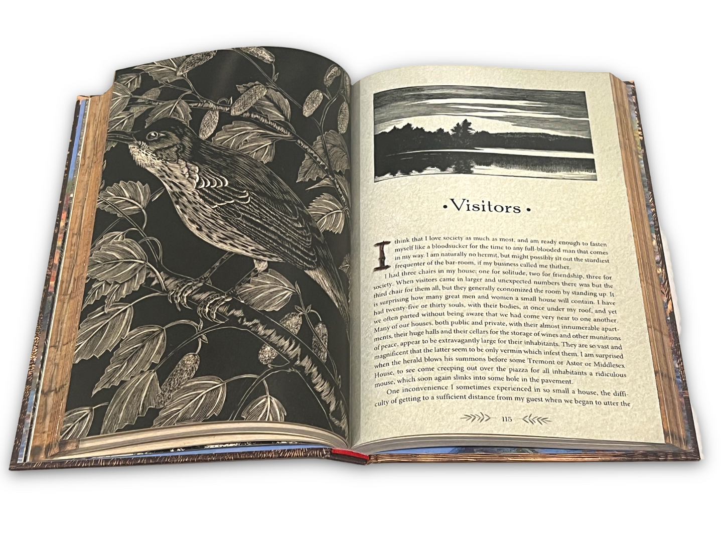 THE ILLUSTRATED WALDEN or Life in The Woods by Henry David Thoreau Collectible Deluxe Edition - Leather Bound Hardcover - Best Seller - Classic Book